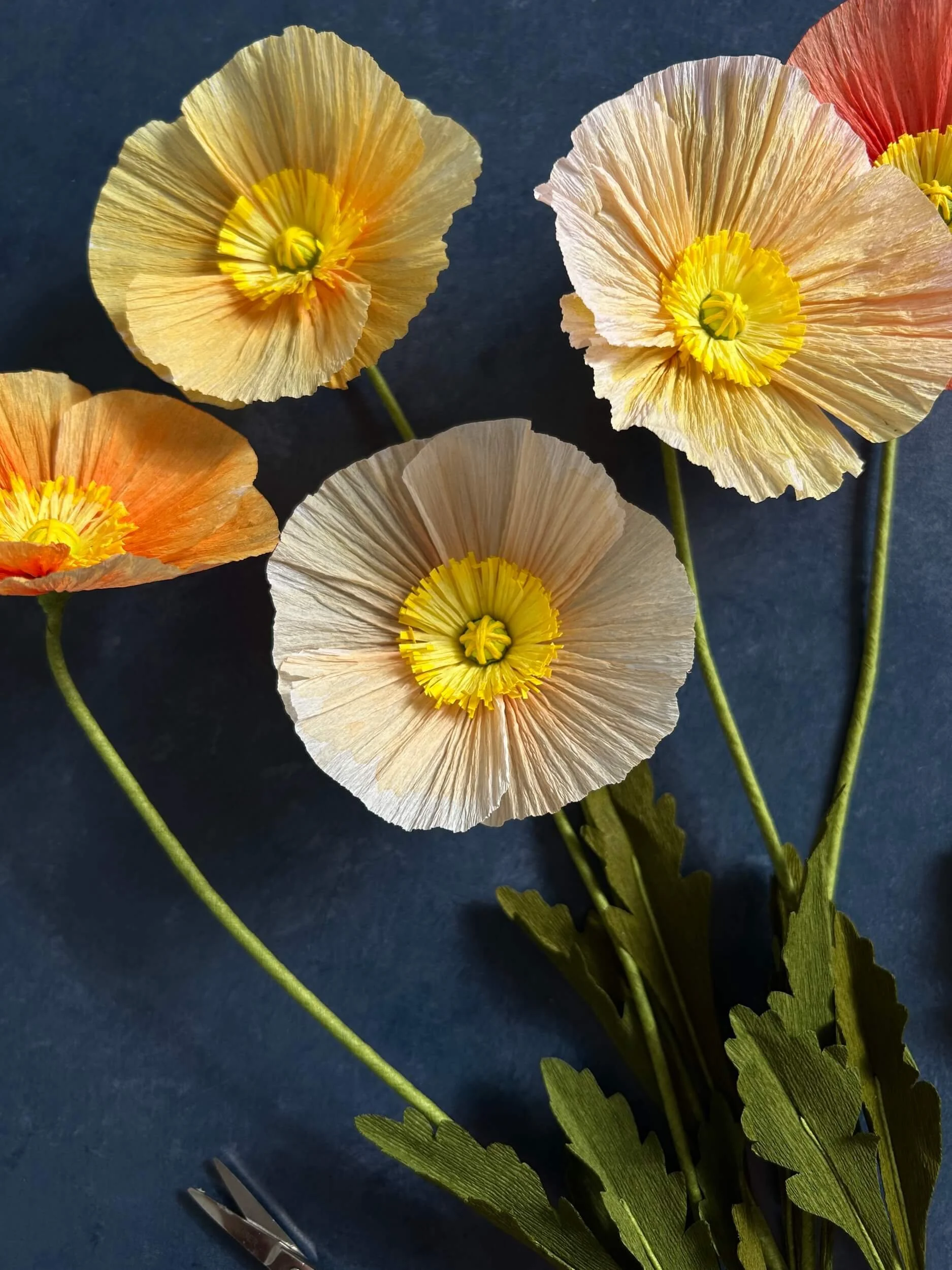icelandic-poppy-paper-flower-workshop-a-petal-unfolds.JPG
