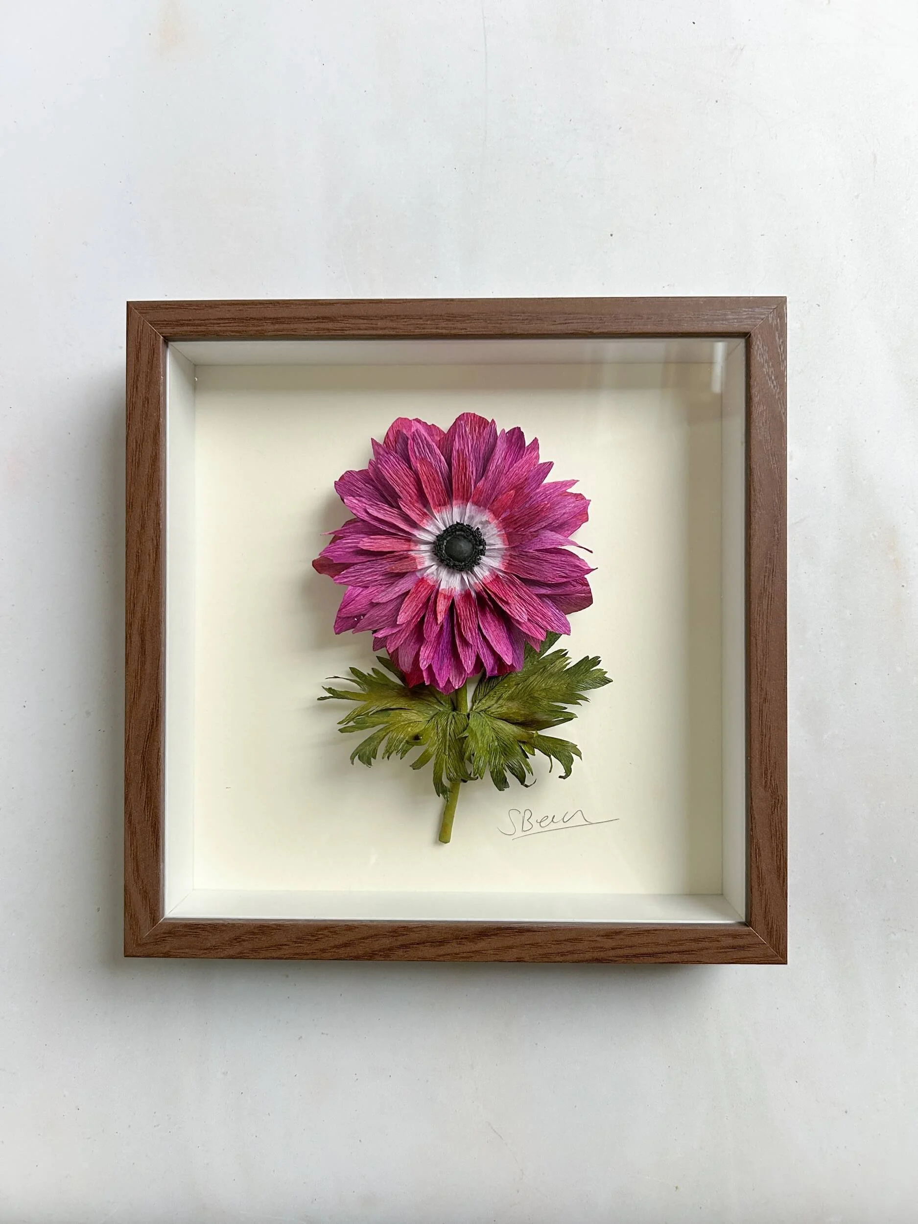 framed-paper-anemone-a-petal-unfolds.jpg