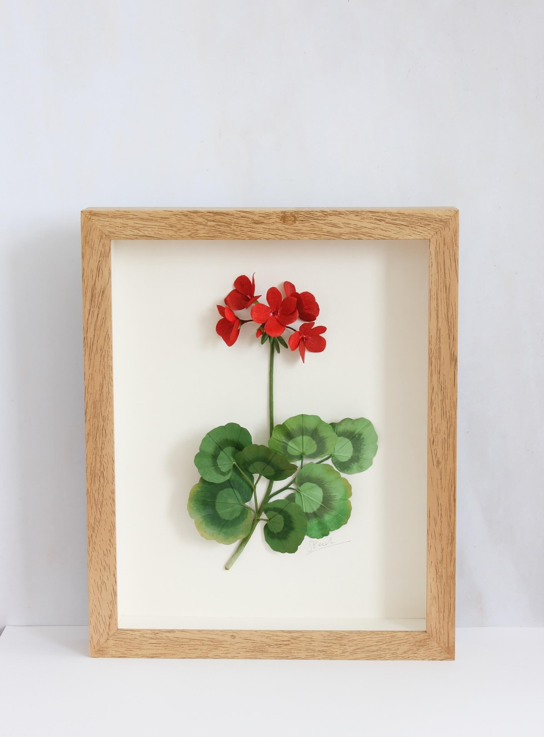 red-geranium-framed-a-petal-unfolds.jpg