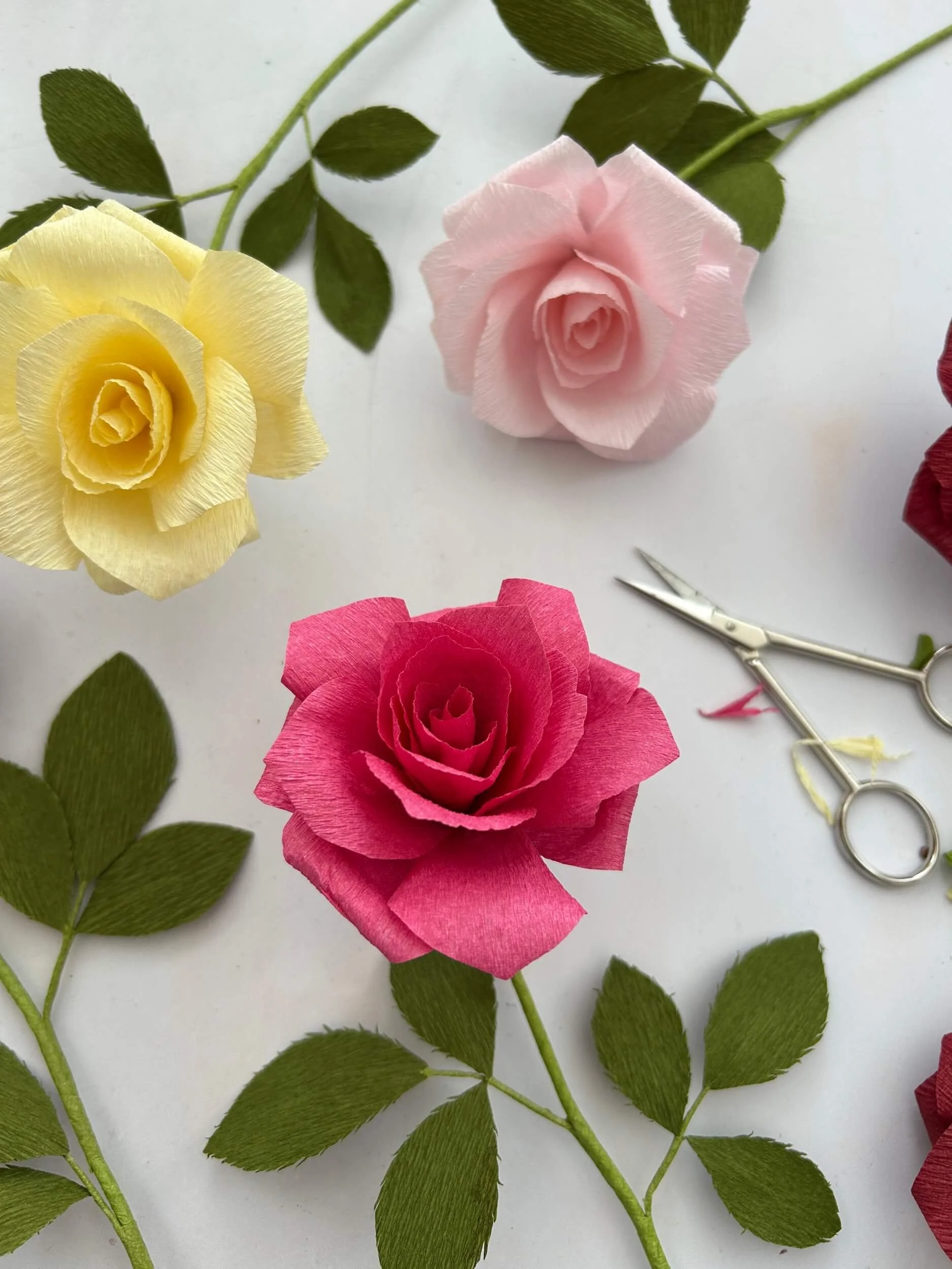 PAPER-ROSE-FLOWER-WORKSHOP-a-petal-unfolds 2.JPG