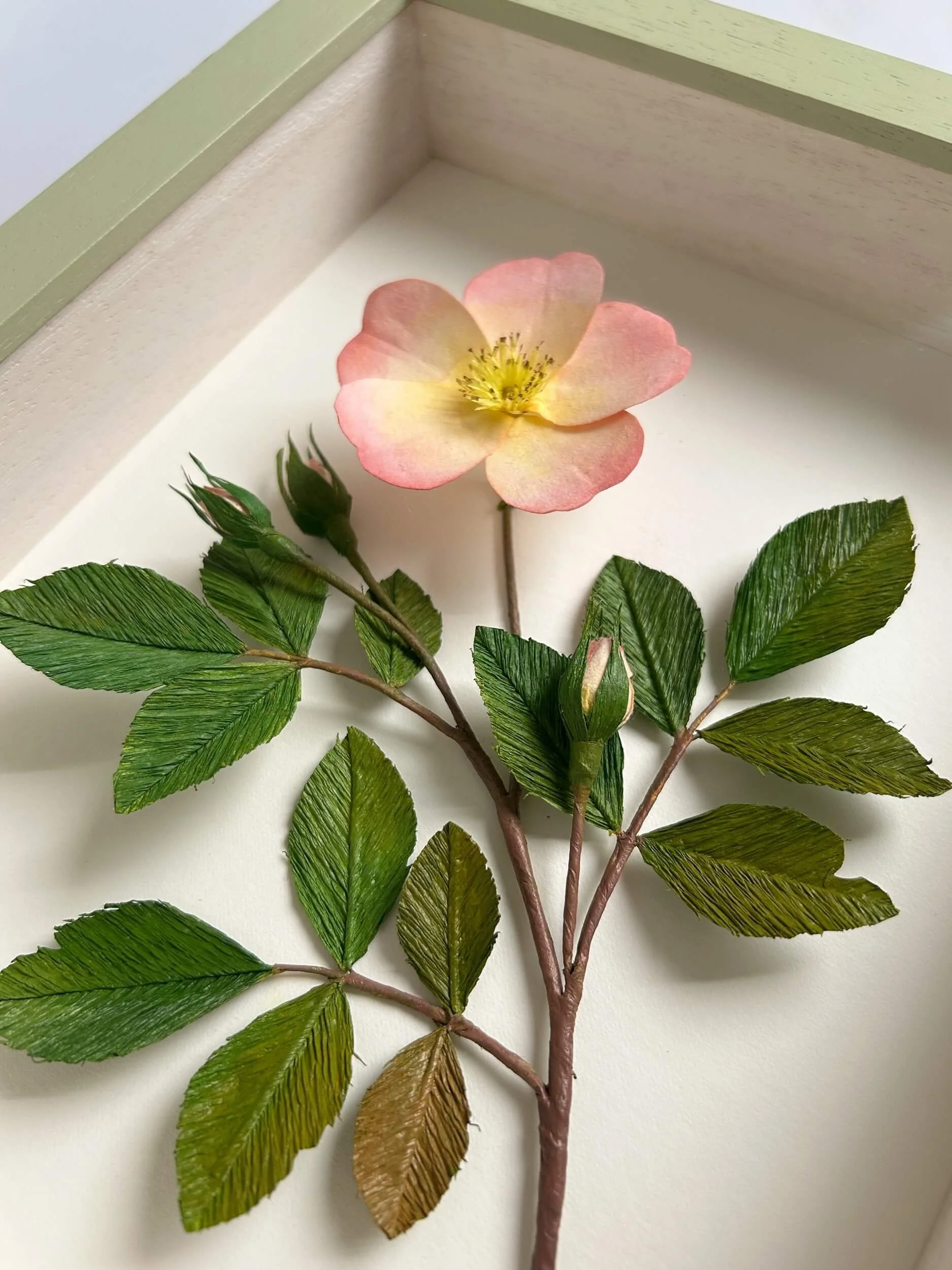 paper-wild-rose-close-up-a-petal-unfolds.jpg