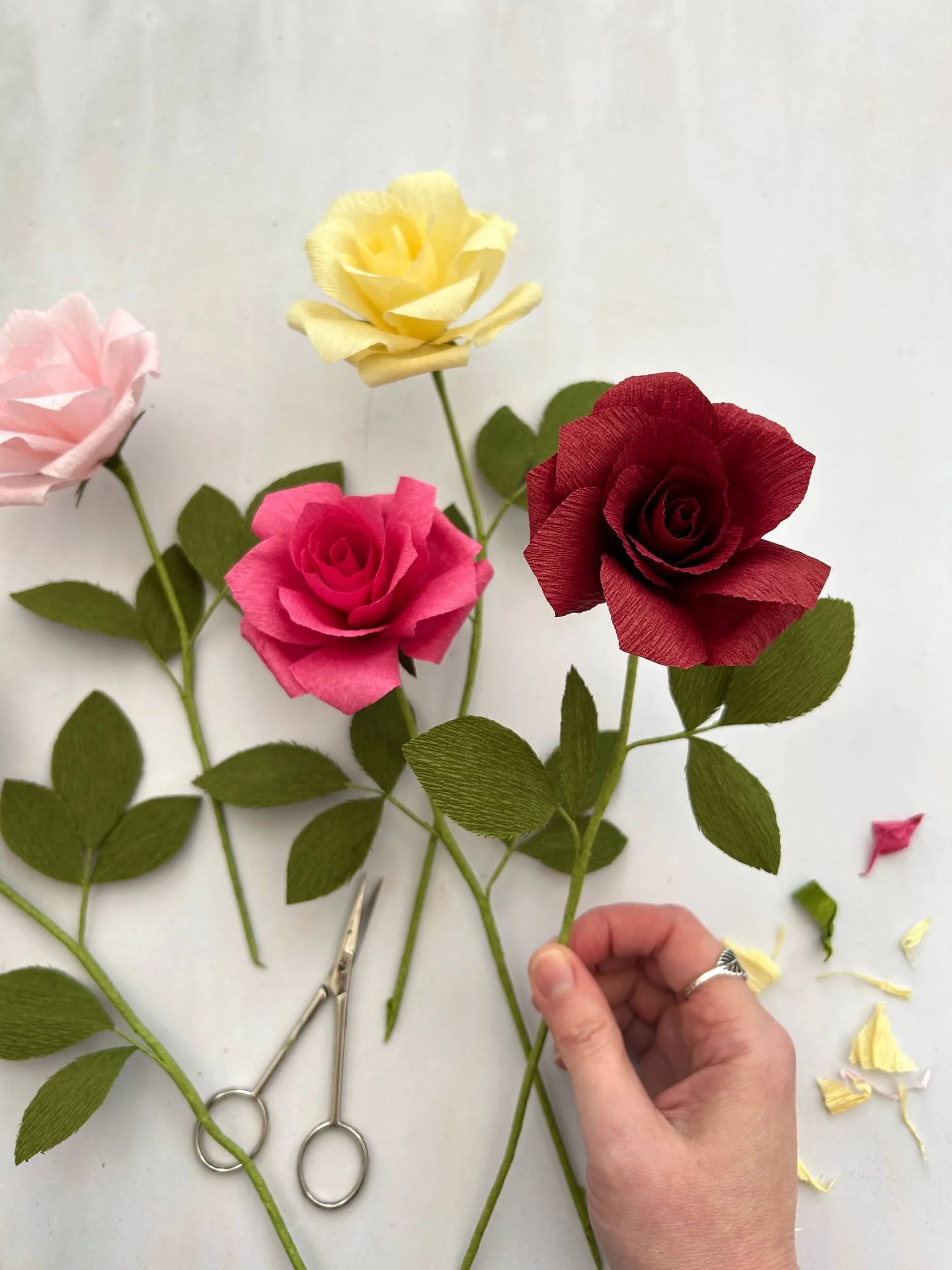 PAPER-ROSE-WORKSHOP-a-petal-unfolds 2.jpg