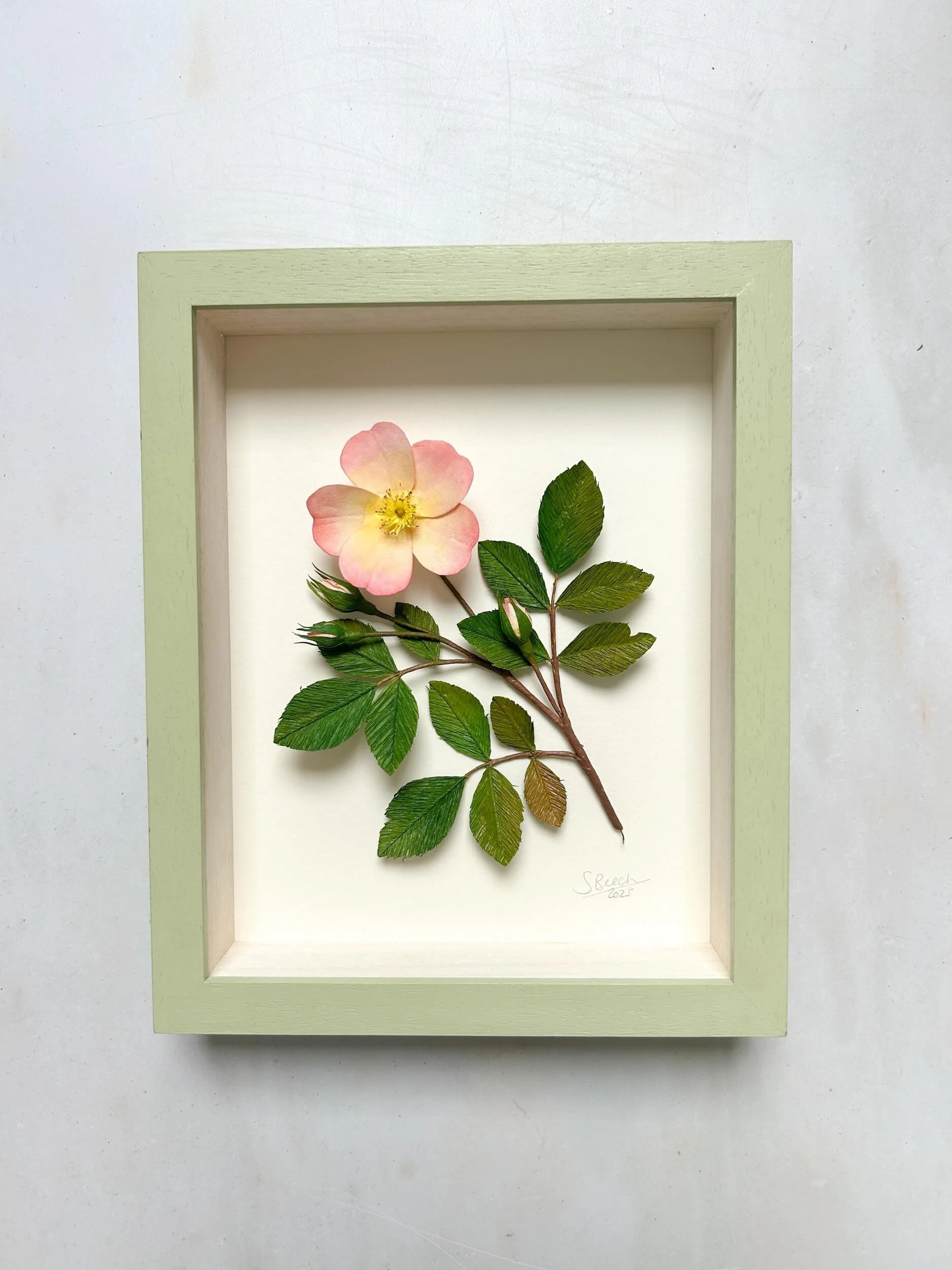 framed-paper-wild-rose-green-a-petal-unfolds.jpg