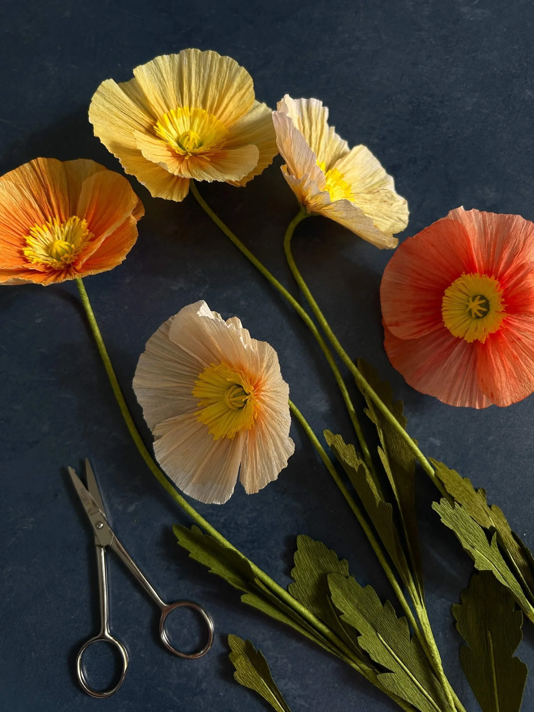 icelandic-poppy-paper-flower-workshop-blue-background.jpg