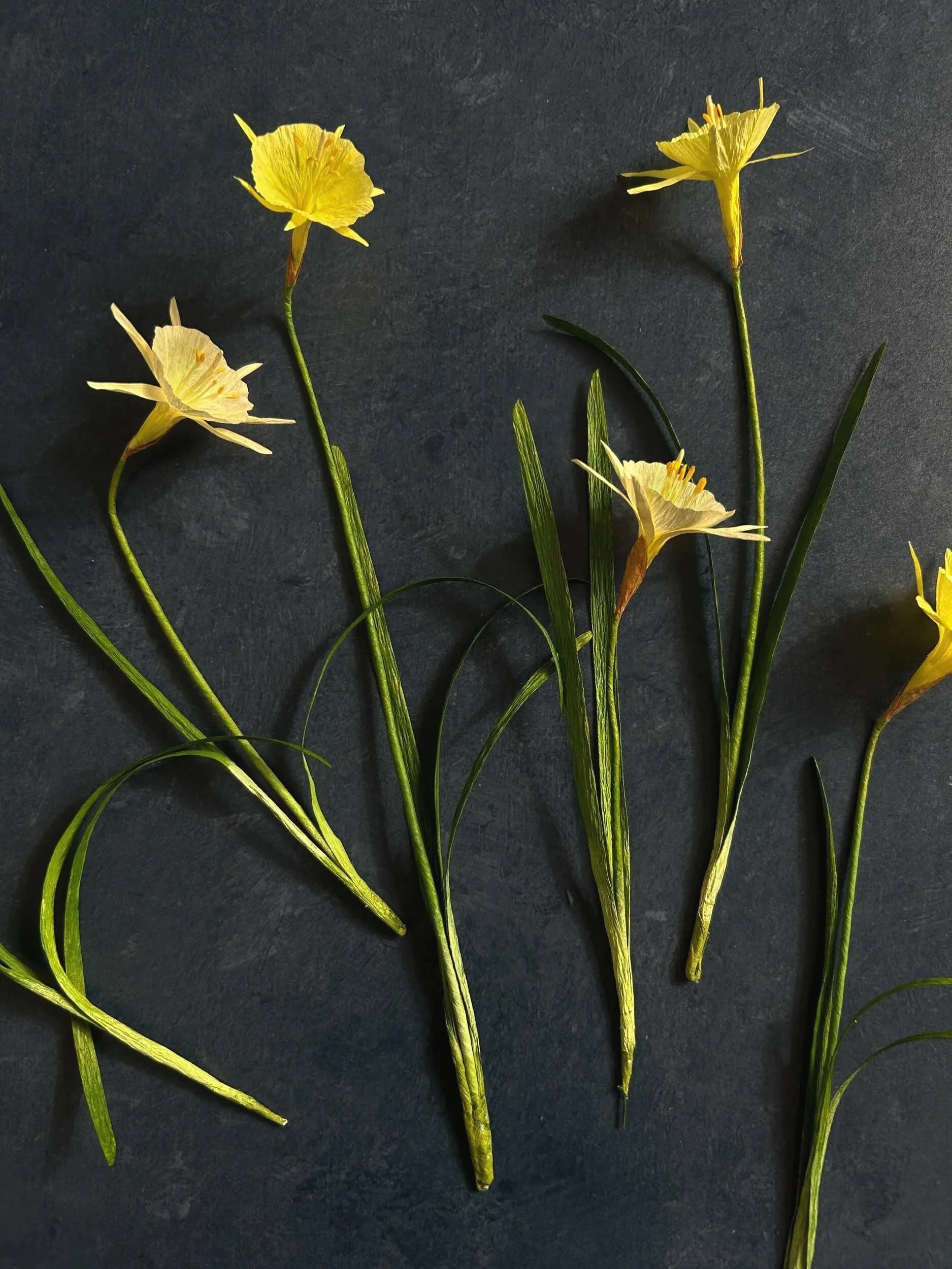 paper-narcissus-arctic-bells-a-petal-unfolds.jpg