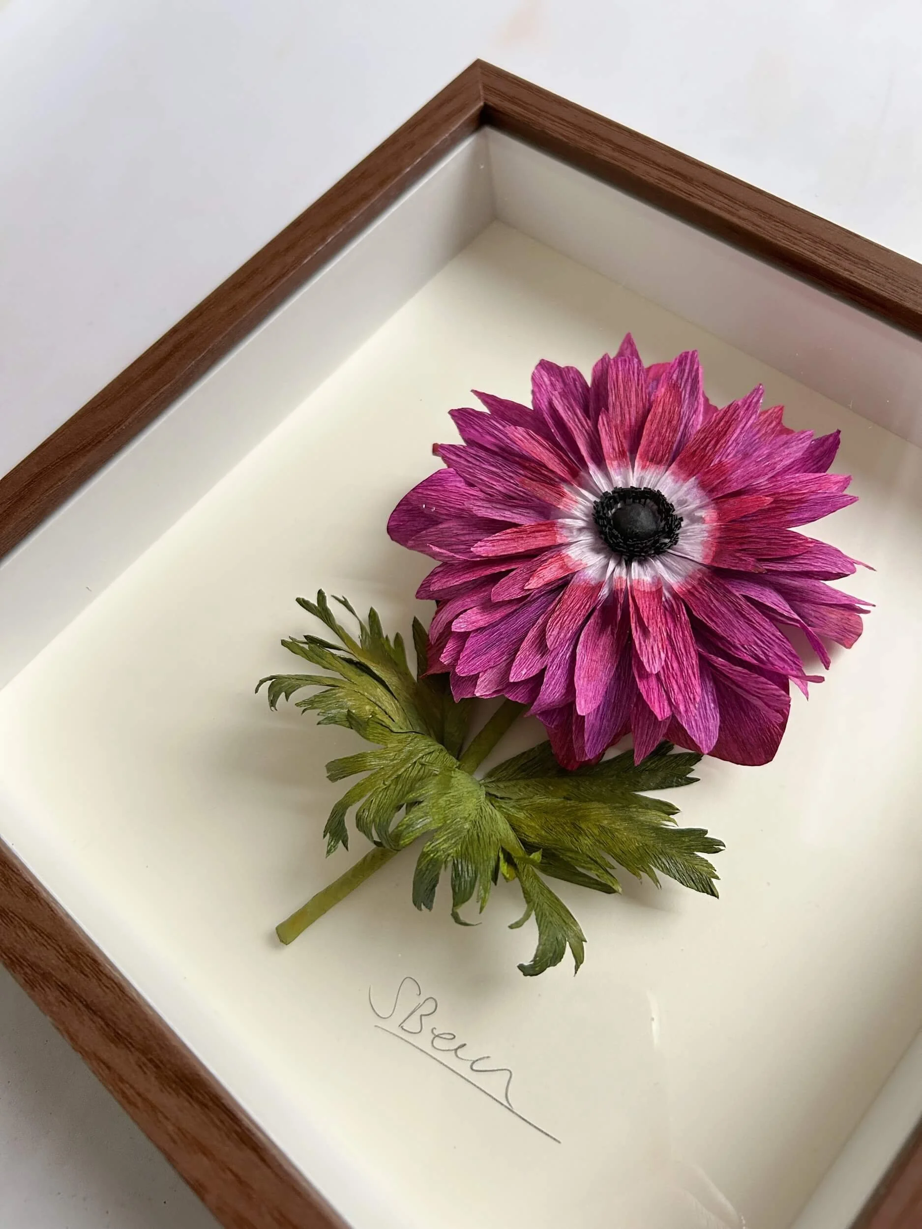paper-anemone-framed-close-up-a-petal-unfolds.jpg