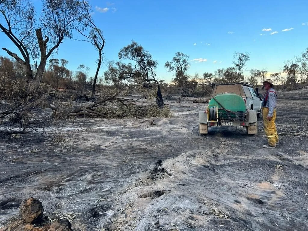 A firefighter with a water cart in a burnt creekline after a bushfire