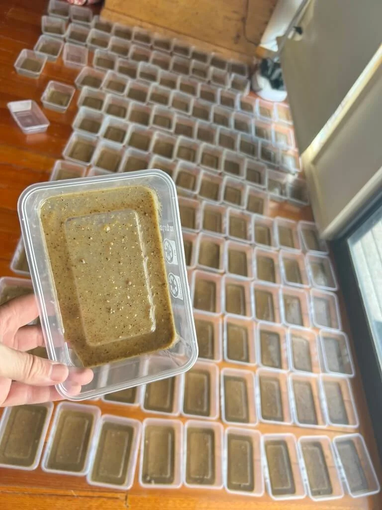 Trays of ant jelly used to provide food for Sugar Ants