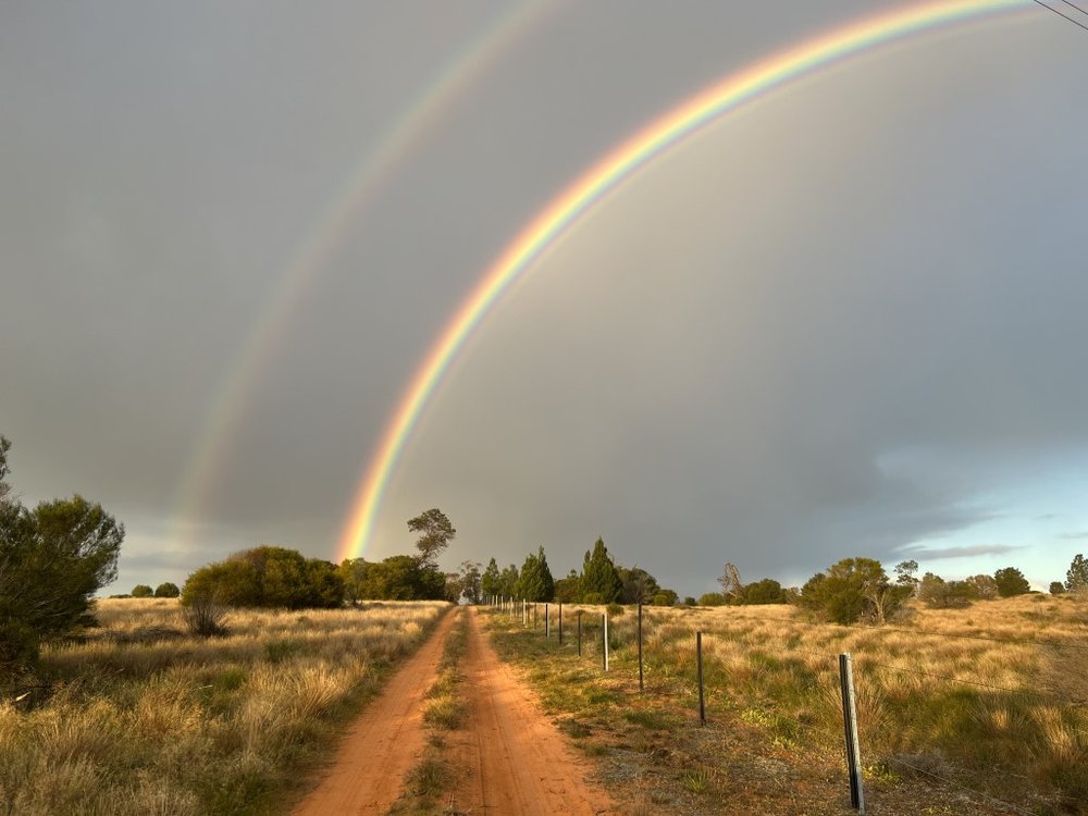 2022-07 Rainbow.JPG