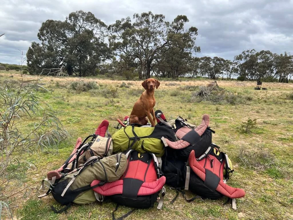 Visiting the Mallee? Walk Jesse’s Track