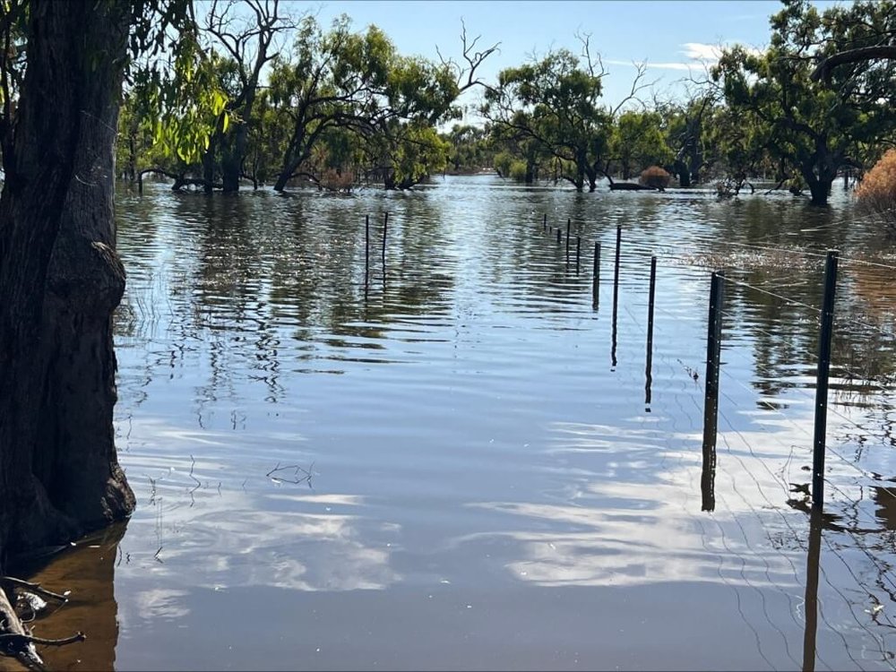 2023-01 flooded fence.jpg