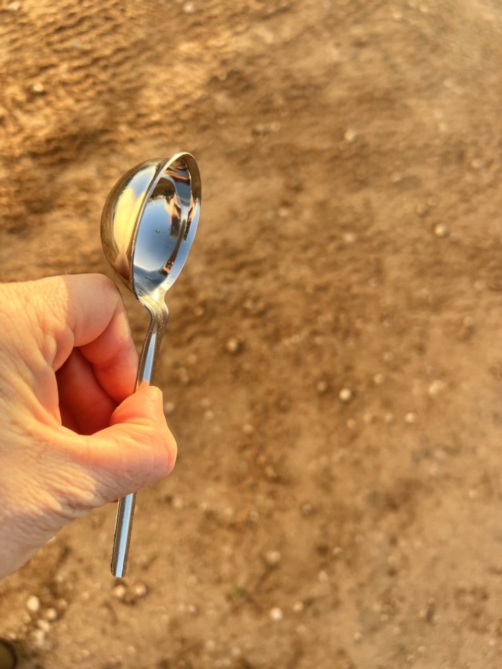 Seed bowl spoon (1).JPEG