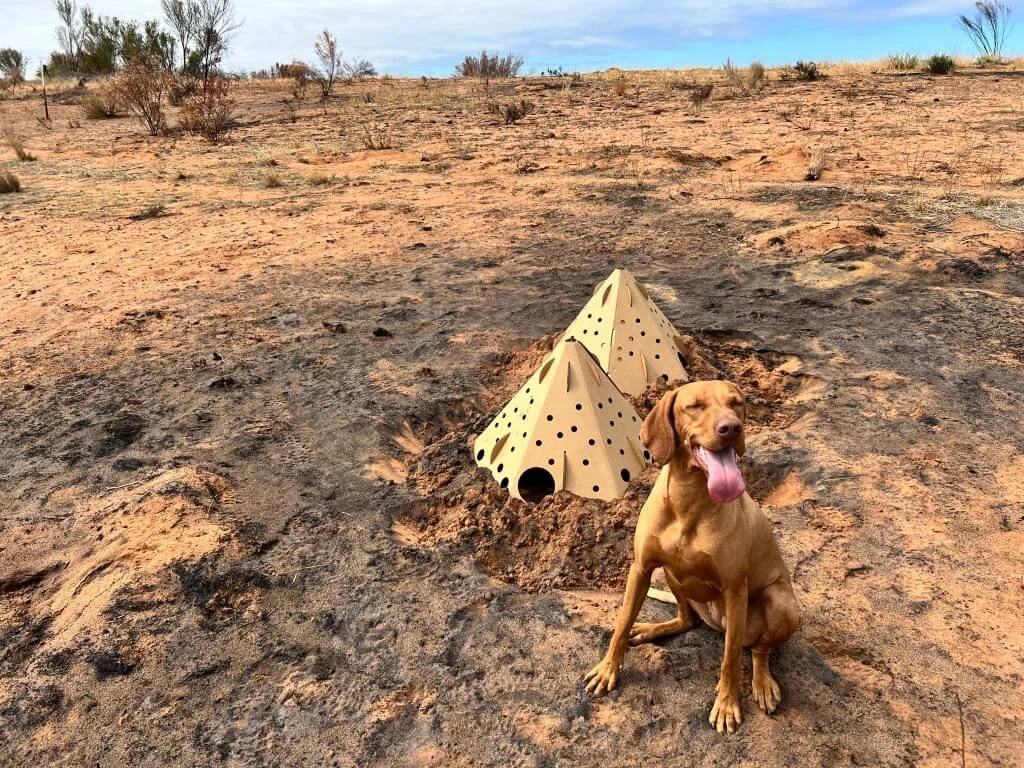 Ruby helping to install the ReHabitat Pods