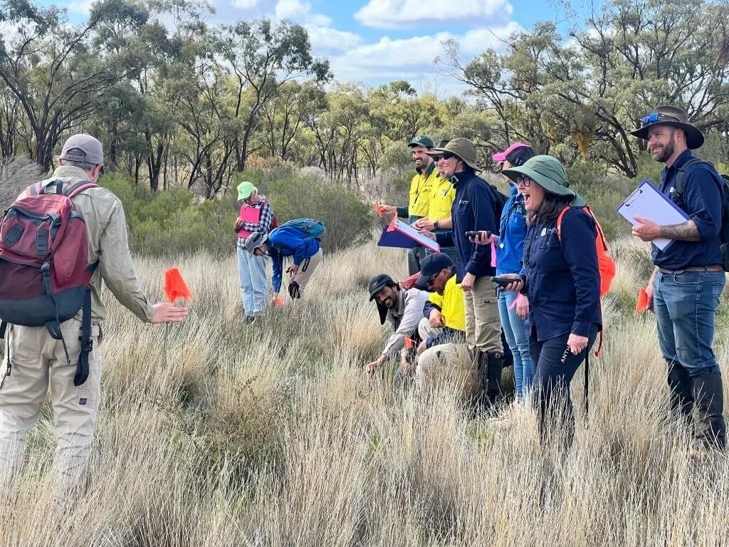 Swainson-pea Field Day