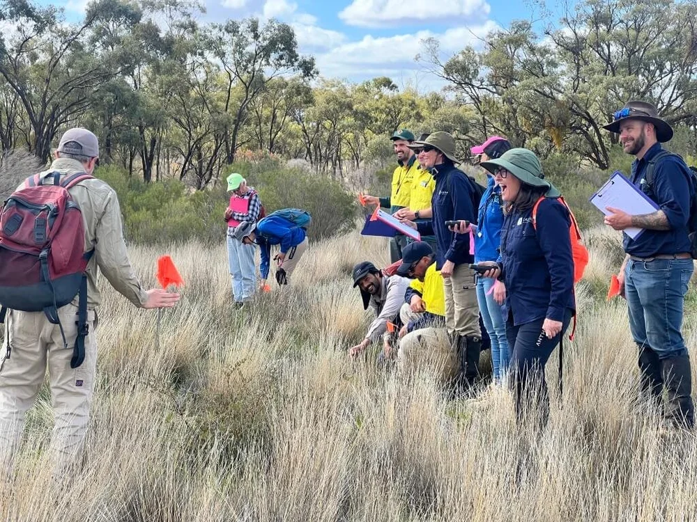 Volunteers at the Swainsona field day