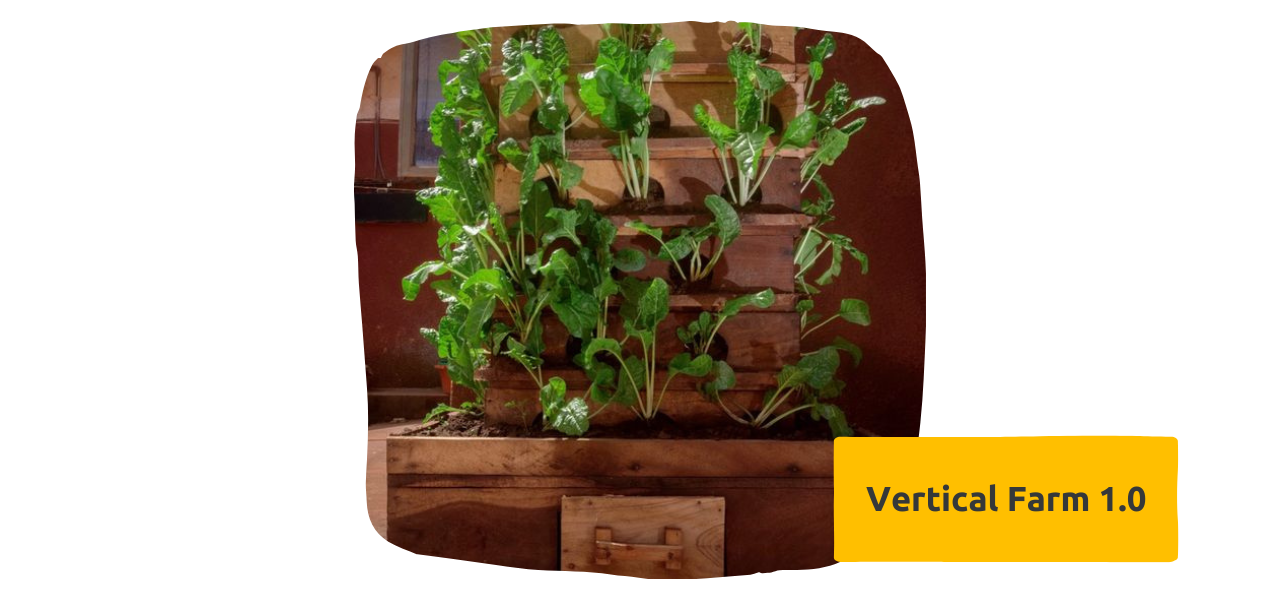 image of a picture of a vertical farm