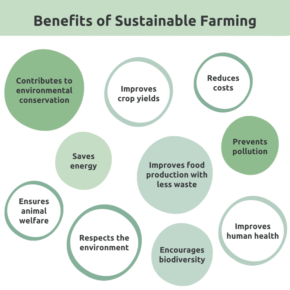 The Dandelion Philosophy