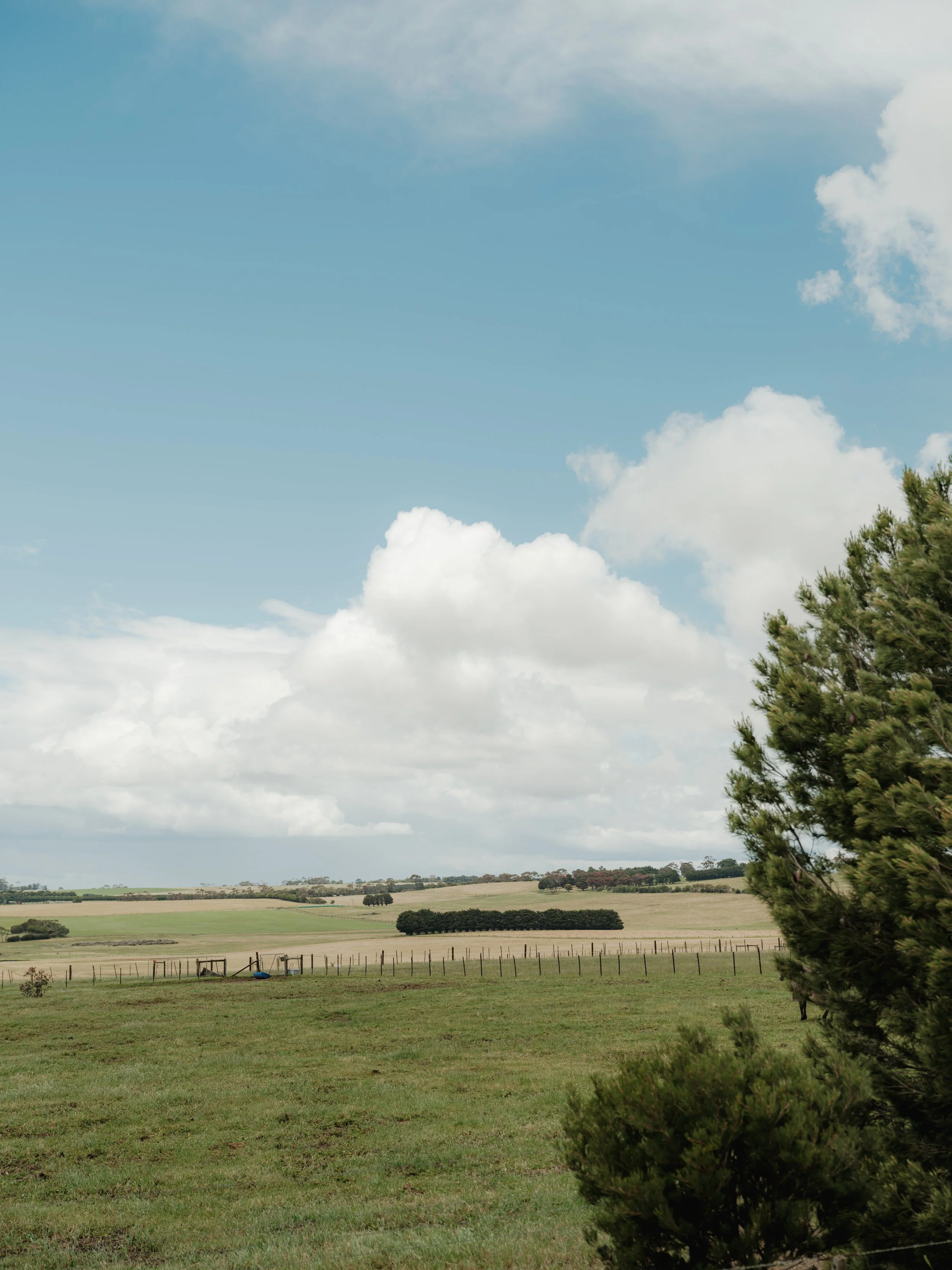 ATLA- Gnarwaree-6.jpg