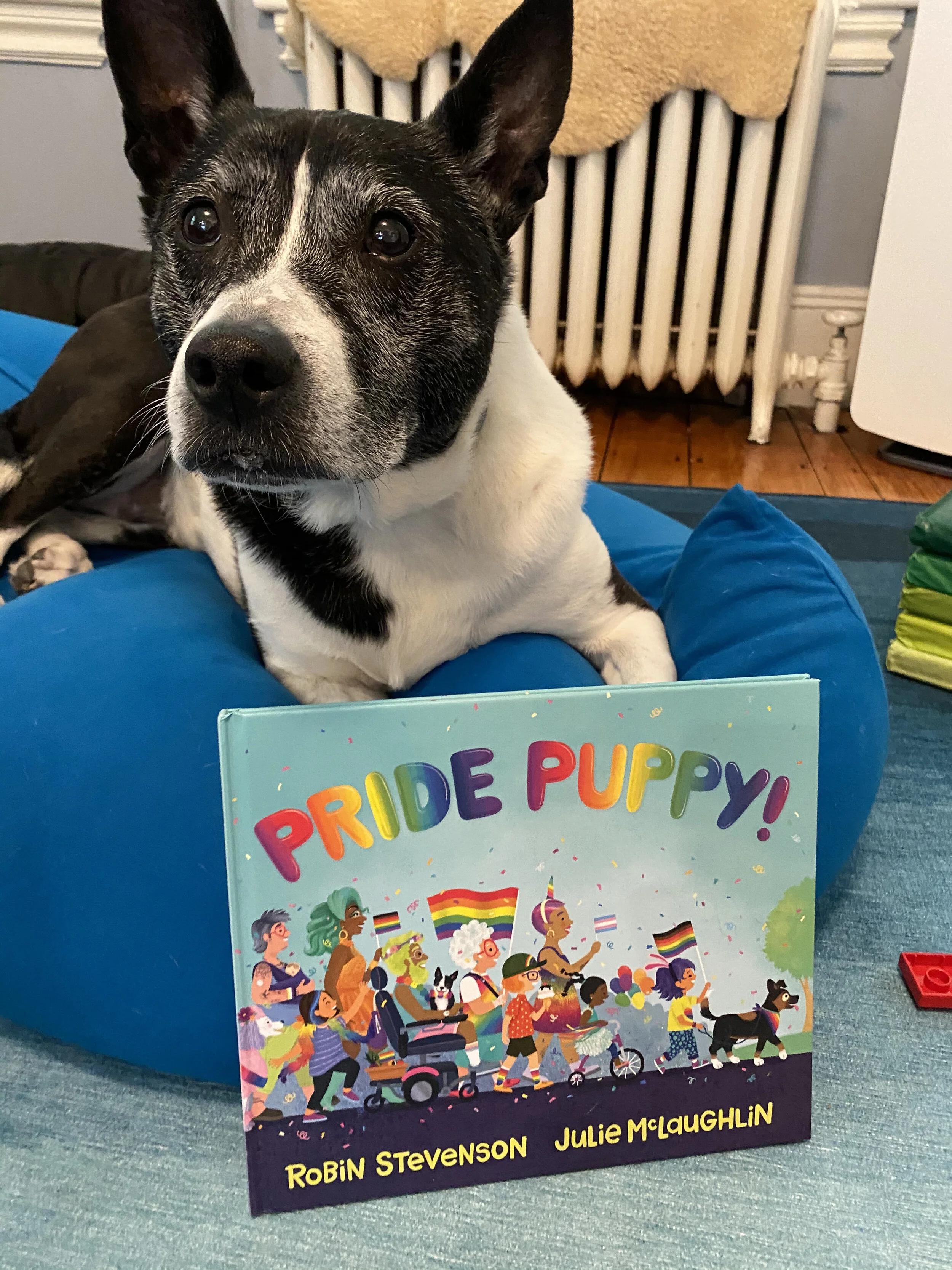 pride puppy