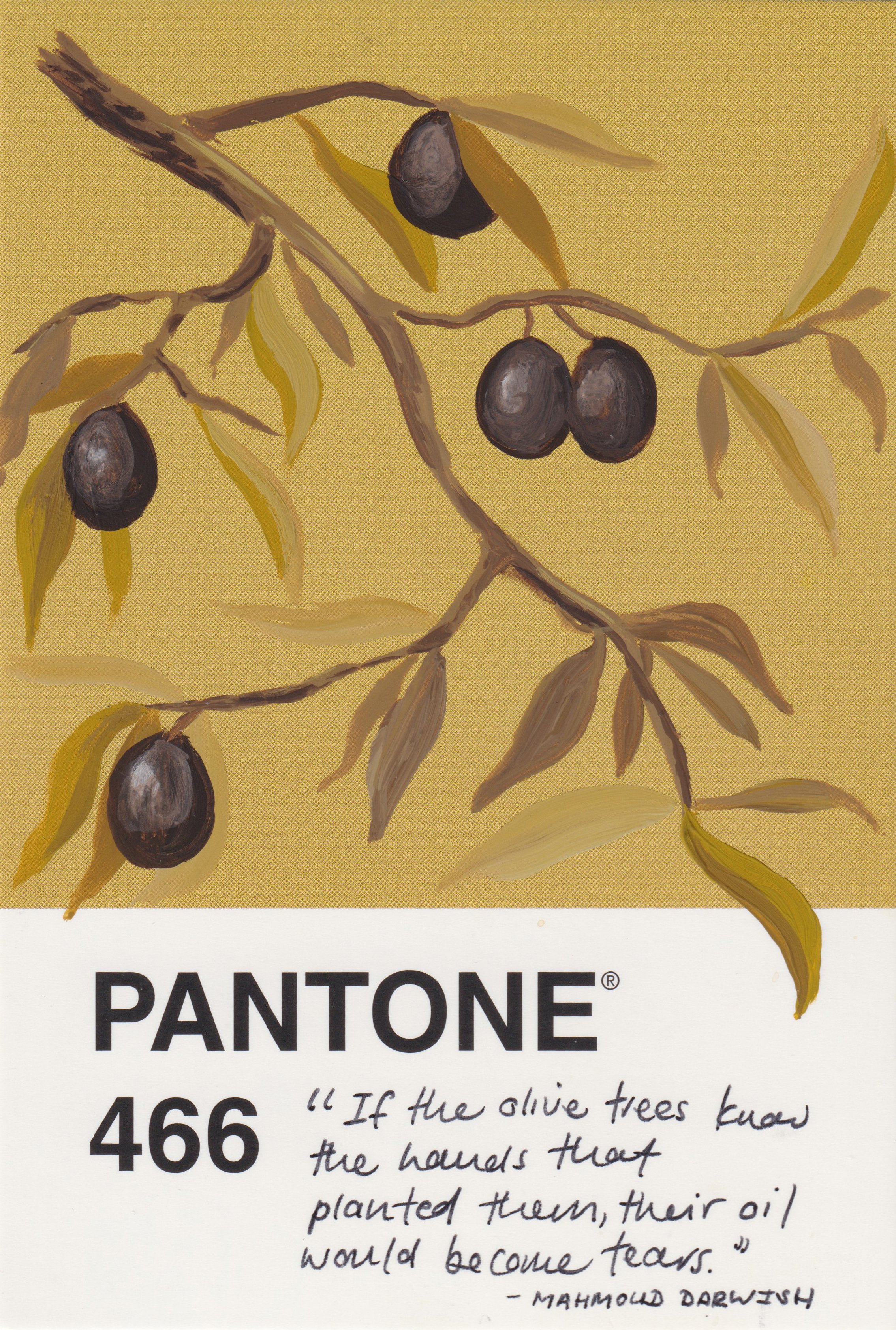 olives-postcard-1.jpg