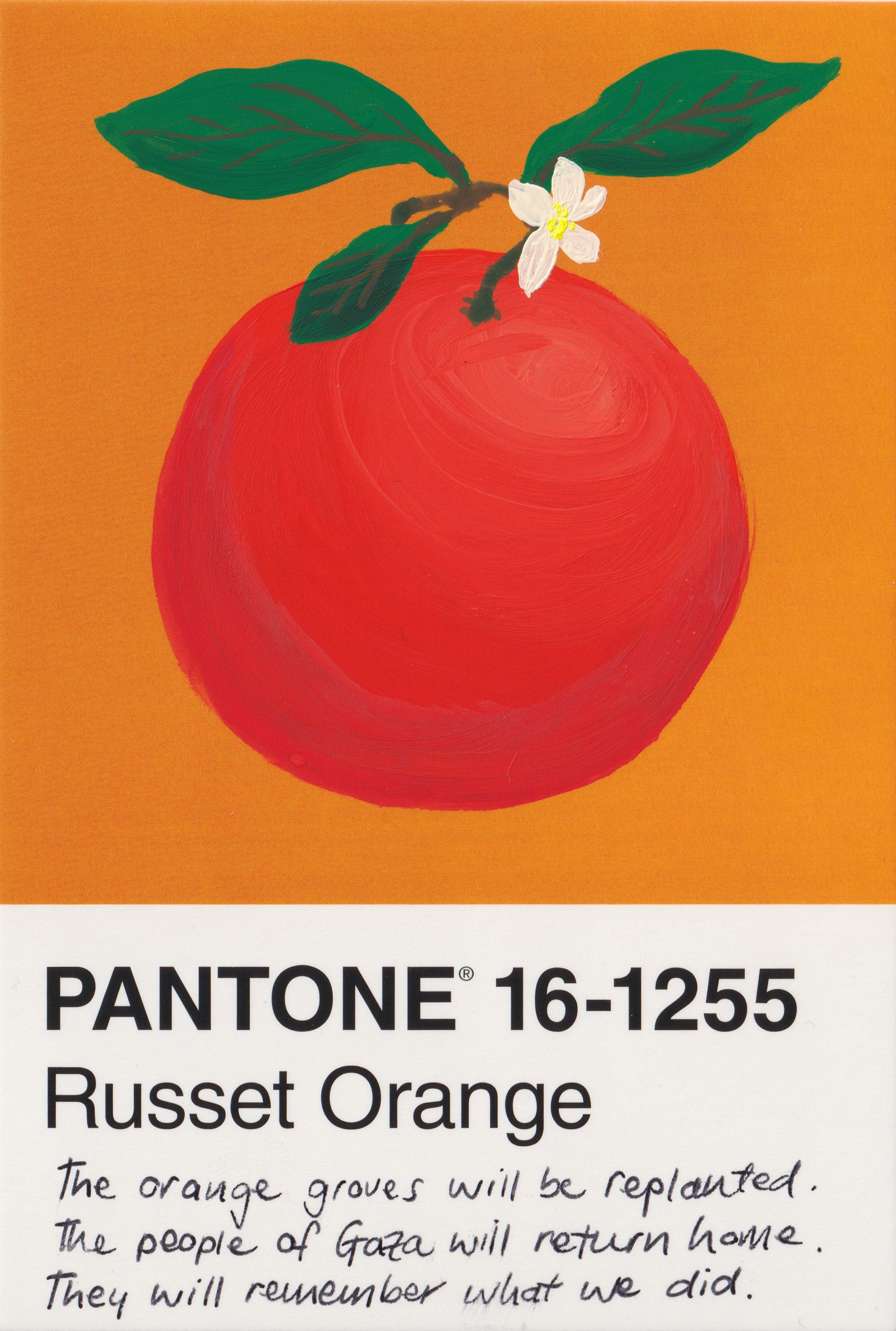 oranges-postcard-2.jpg