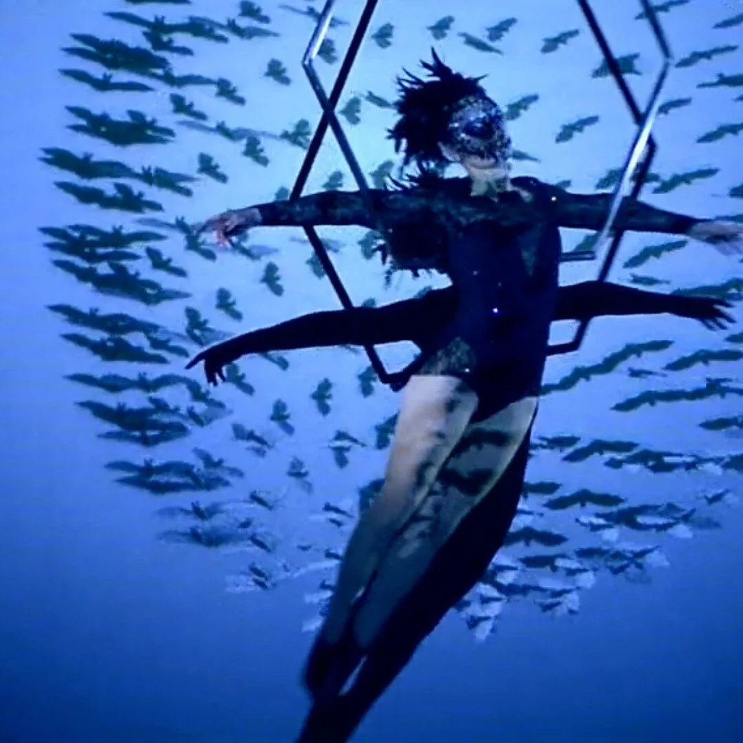 "Ivy" is an innovative digital circus production featuring an aerial hexagon and a swarm of animated bats whose movements are synchronised with the acrobat. With Halloween coming up next month, this would be a great option for any virtual, live and hybrid event so do get in touch if you're after some themed entertainment. ⁠
⁠