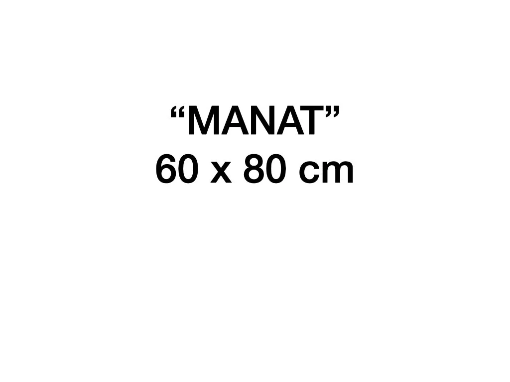 Manat 60 x 80.001.jpeg