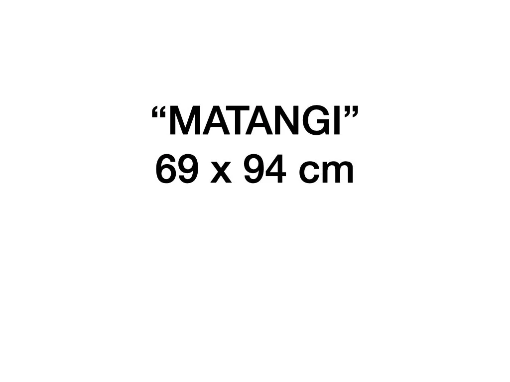 69 X 94.001.jpeg.001.jpeg