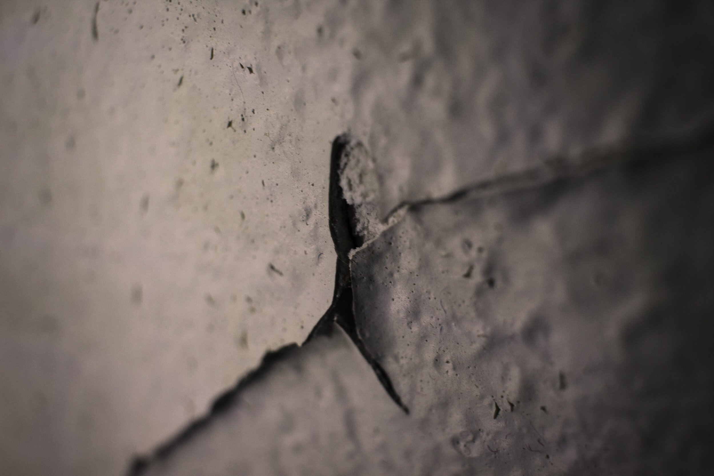 Beauty in the broken