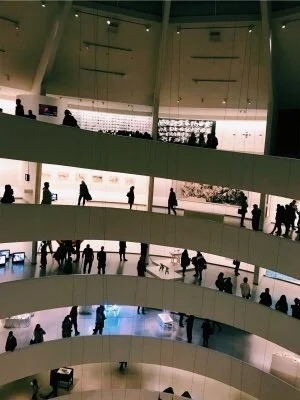 vsco5a0d348b9ee44.jpg