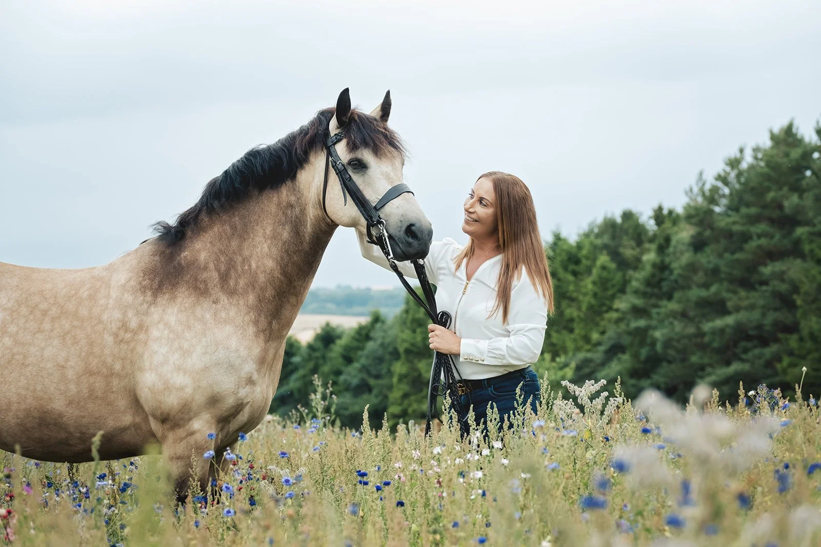 Floyd the Connemara standing among wildflowers at Barlow Fields Derbyshire