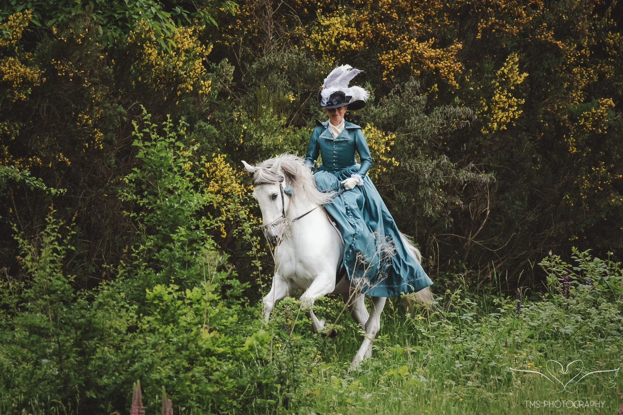 Historical style horse portrait featuring Tanya riding side saddle