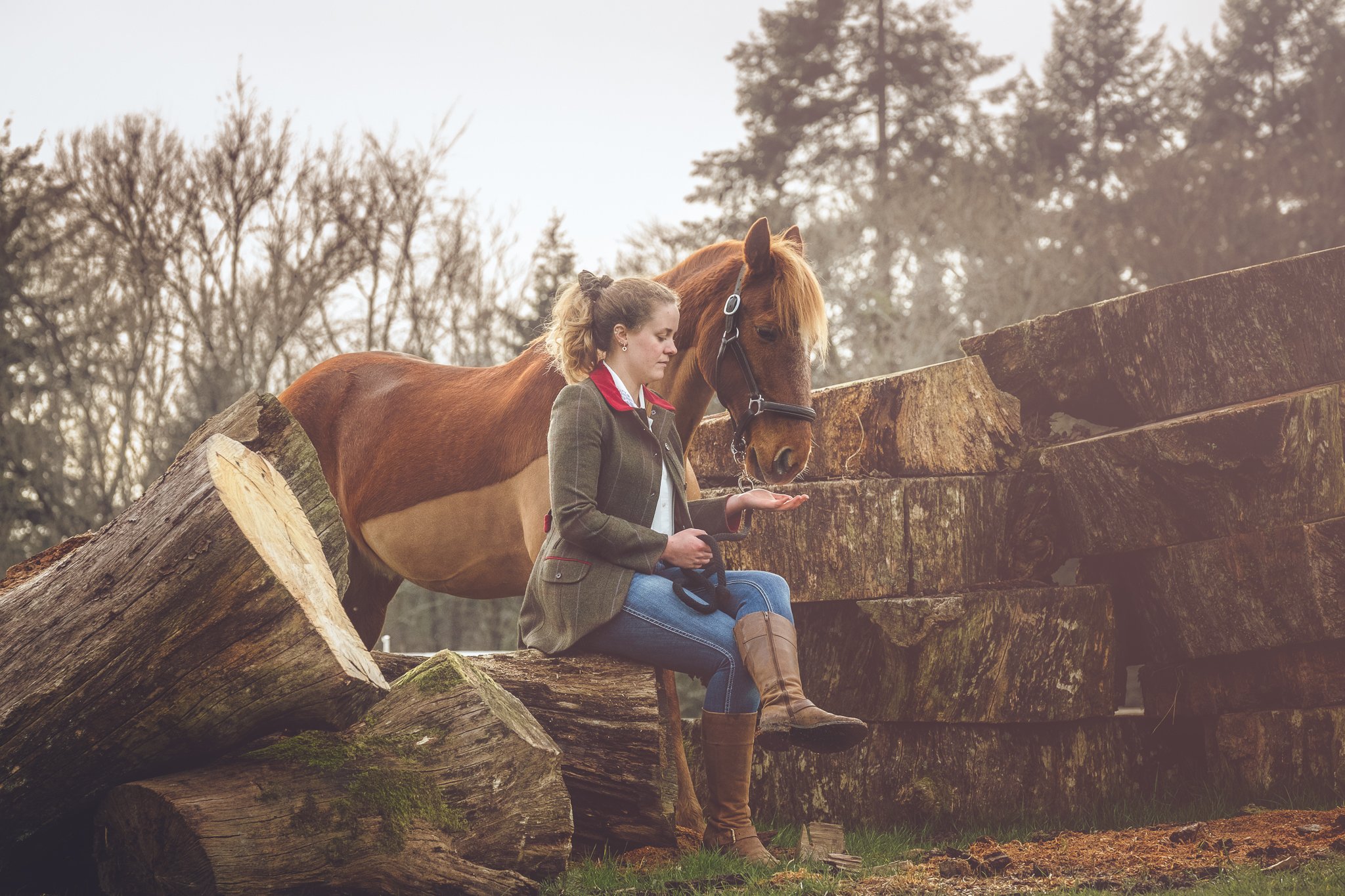 Relaxed equine photography UK