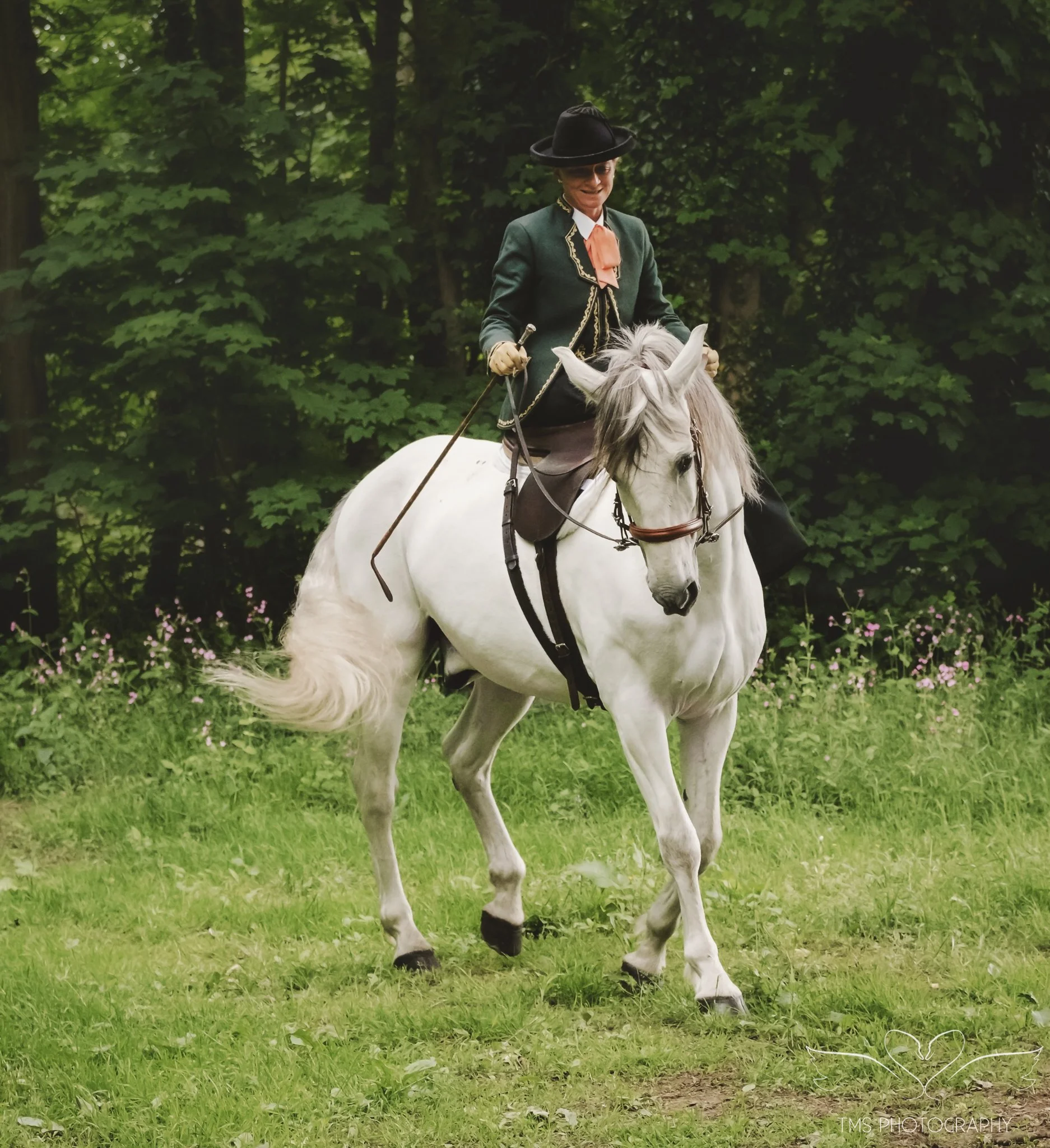 Bespoke horse photography session celebrating traditional side saddle riding