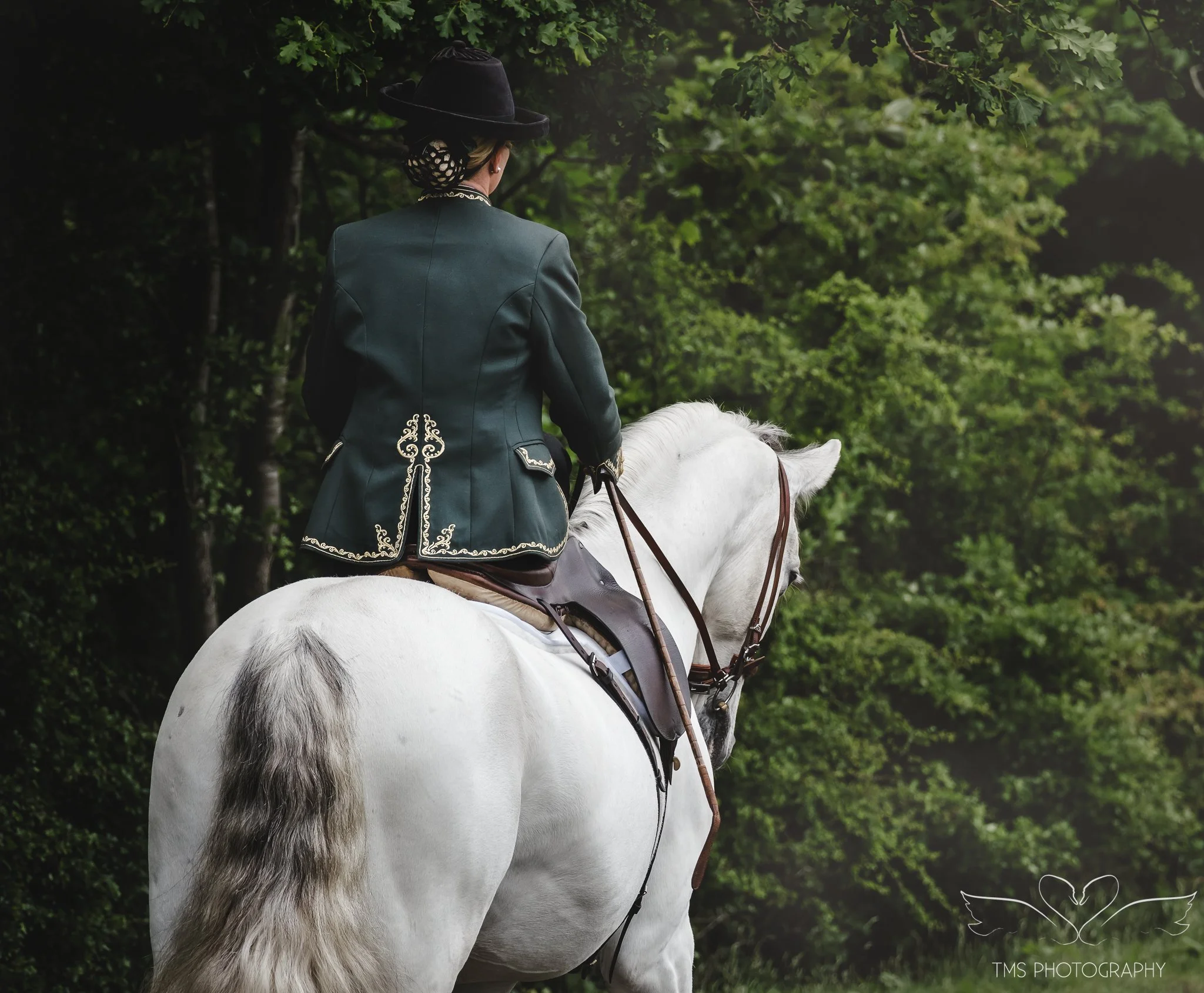 historical horse photography