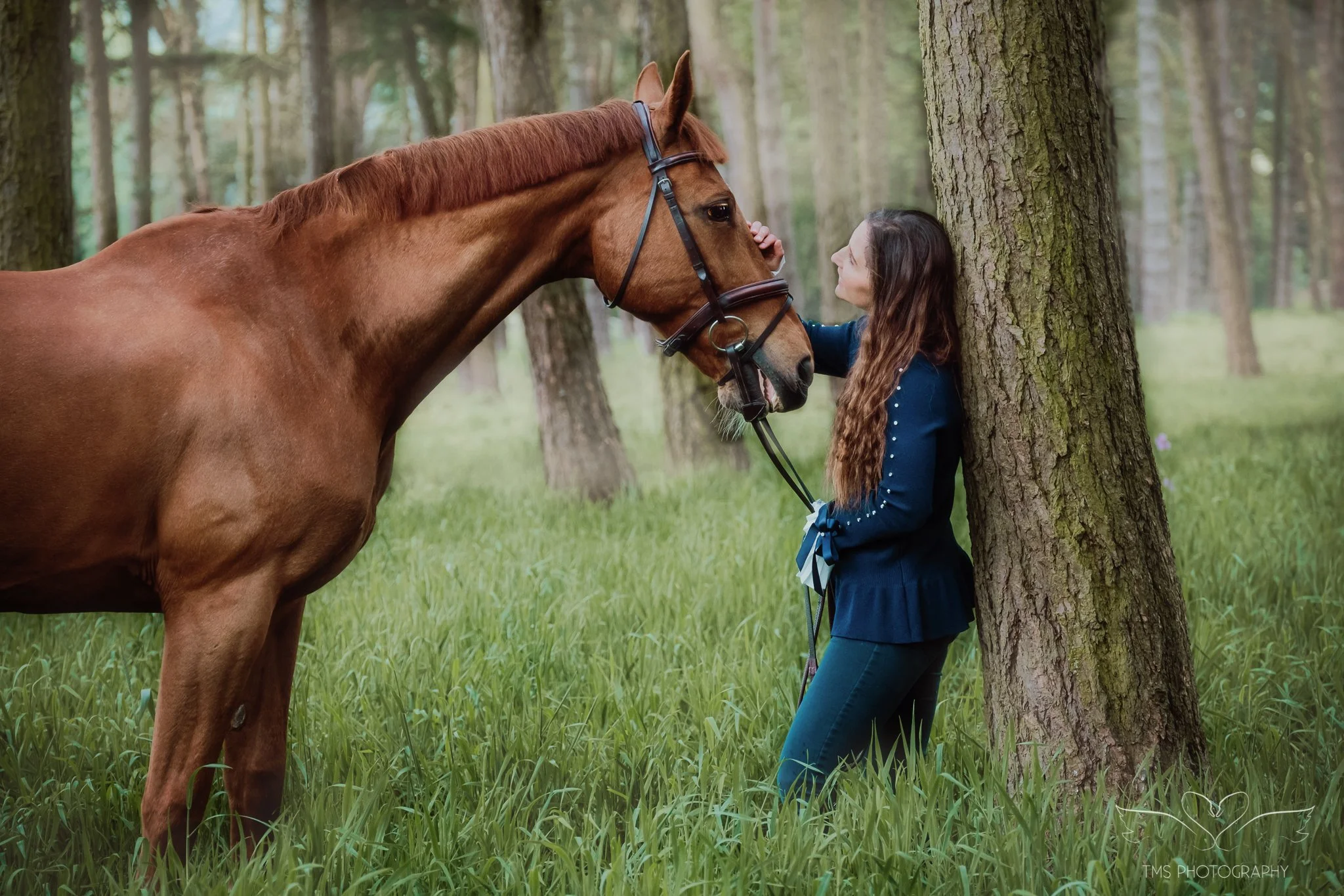 Equine Photography in East Staffordshire: A Late Spring Morning with Georgina &amp; Chester