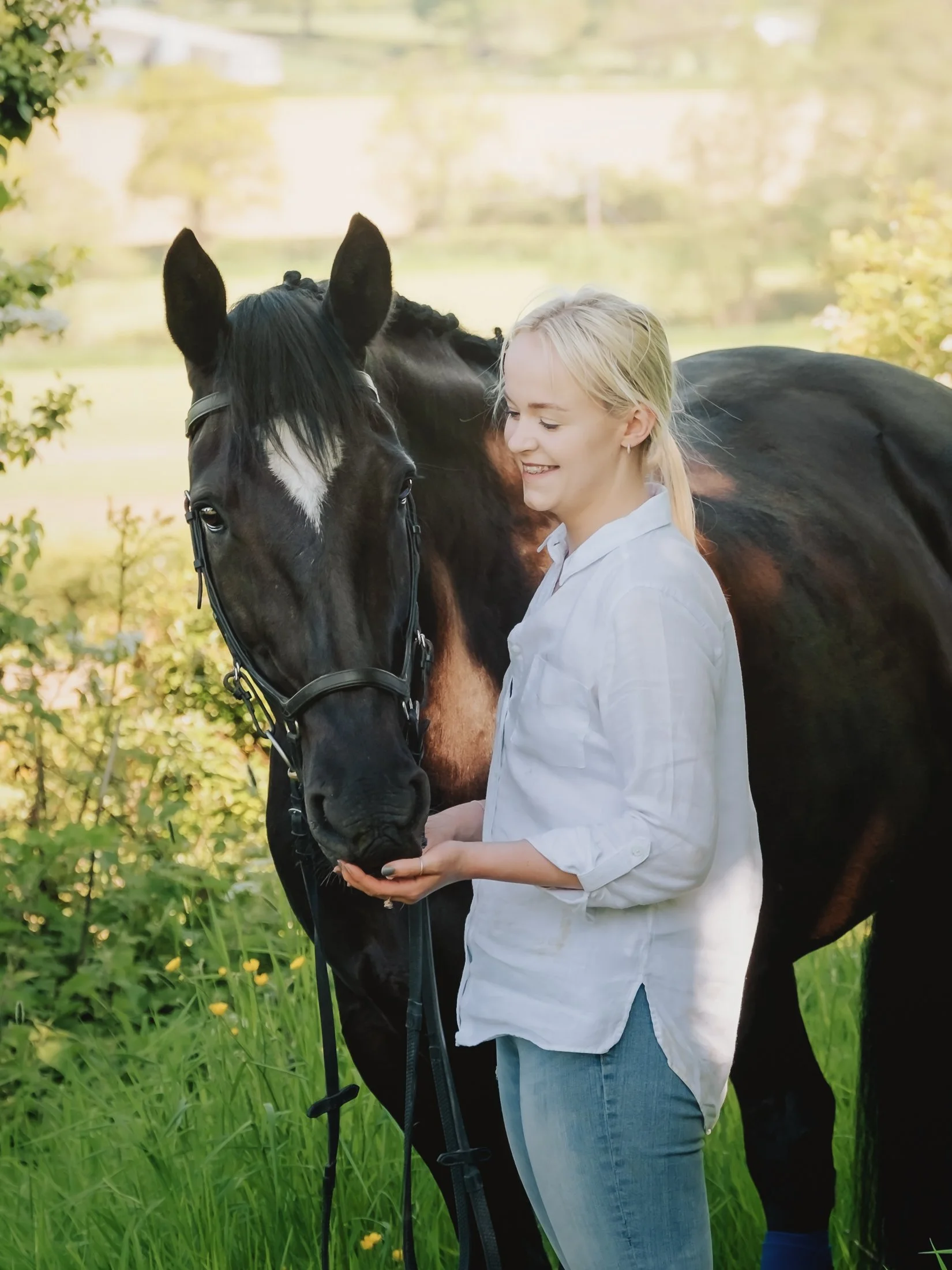 Late Spring Equine Portraits at Abbots Bromley: Ariana, Ebbs &amp; Nebbs