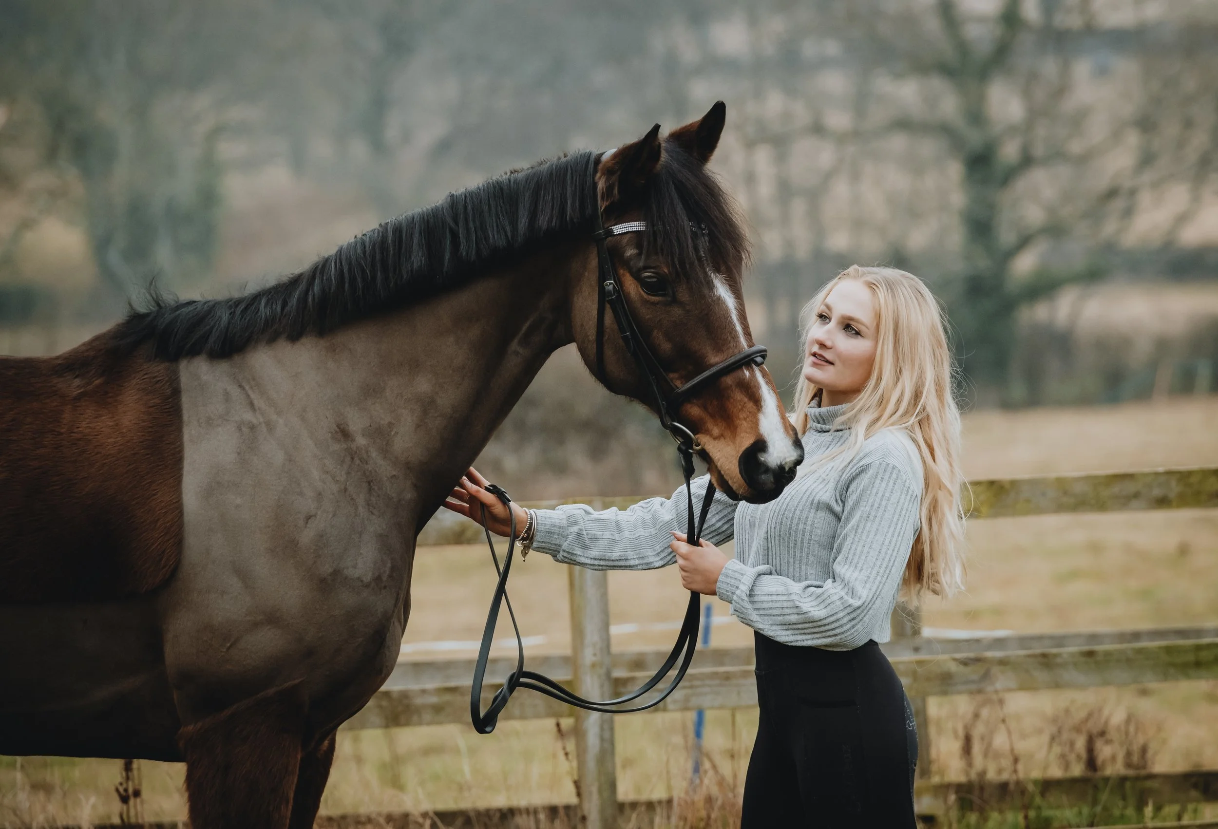 How to Make Any Livery Yard Look Picture-Perfect for Photos