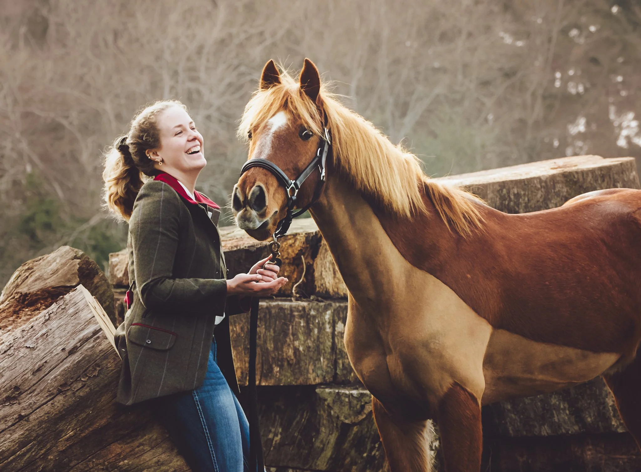 A Relaxed Spring Equine Photoshoot in the New Forest | Horses, Dogs &amp; Country Style