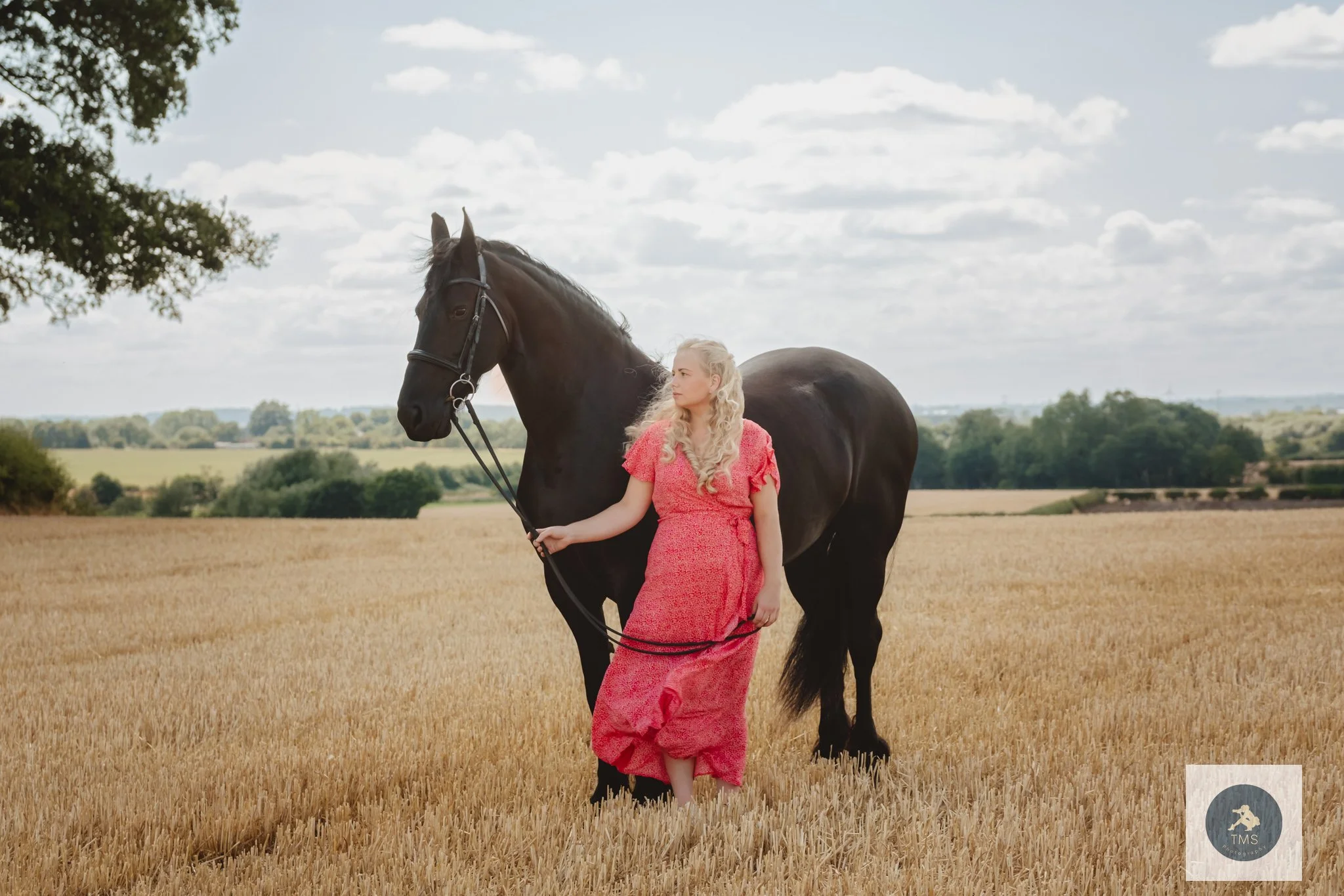 Working With the Light: Olivia and Moike’s Friesian Horse Photoshoot