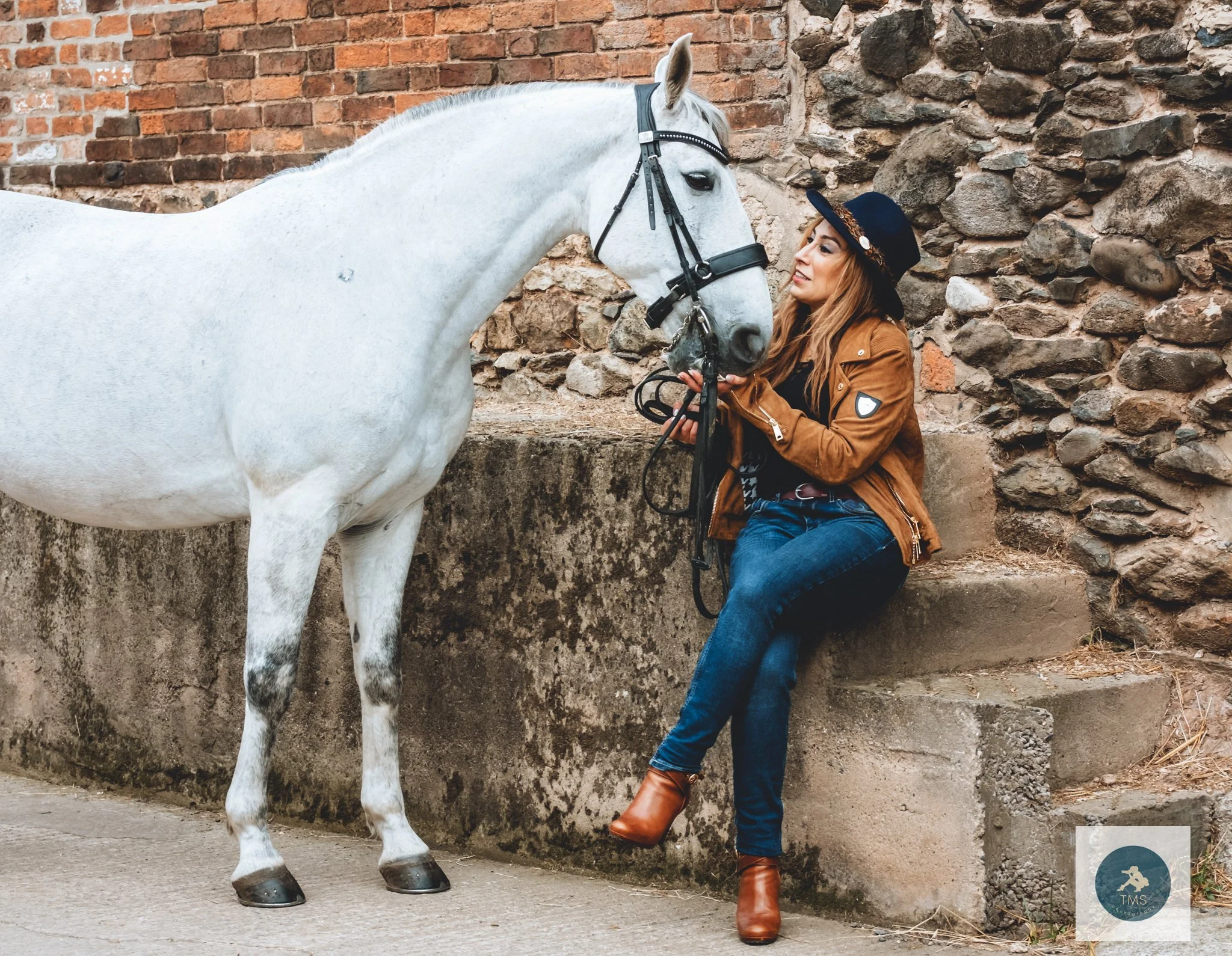 A Lusitano Called Ferrari: Pari’s End-of-Summer Horse Portraits