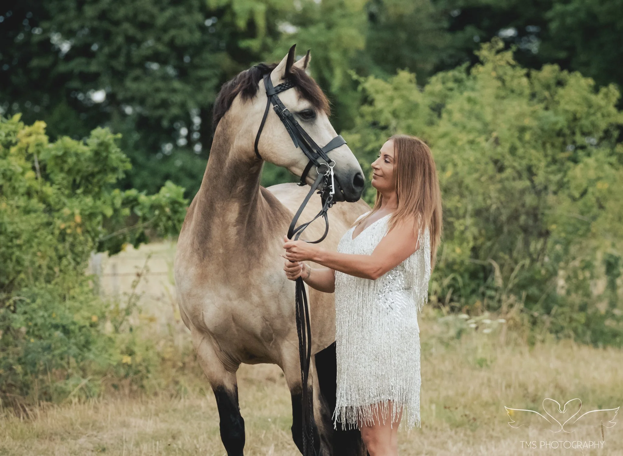 Elegant horse and owner photography in wildflower field