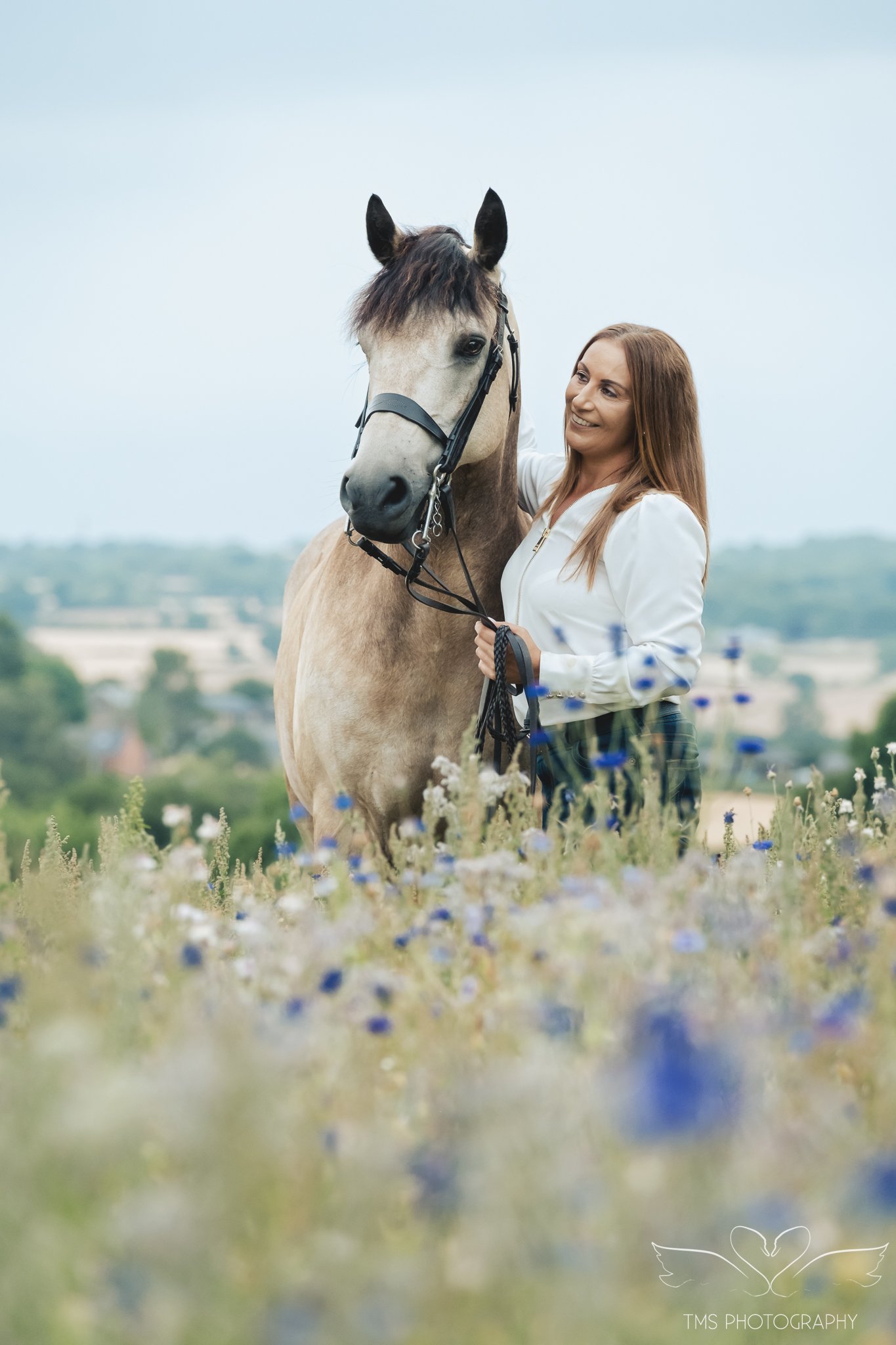 Connemara pony portrait during summer photoshoot