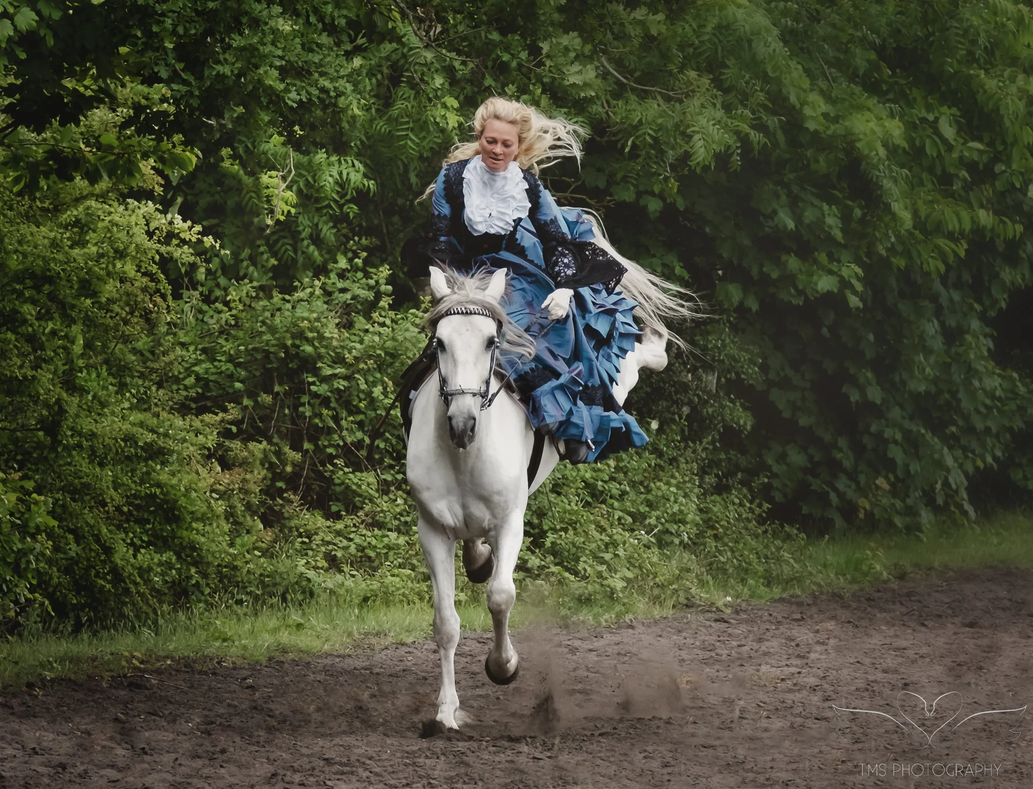 Bespoke side saddle horse photoshoot with Tanya Guest