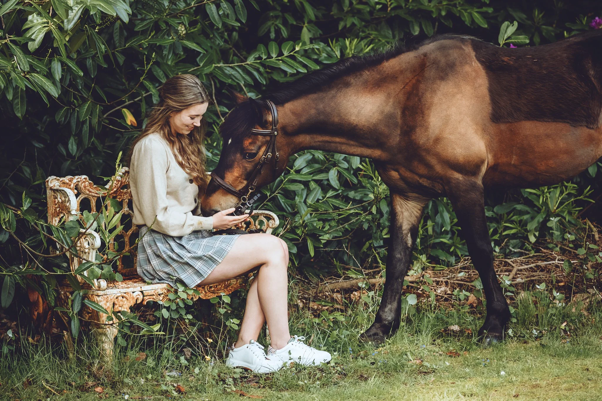 Natural equine portrait at private New Forest yard