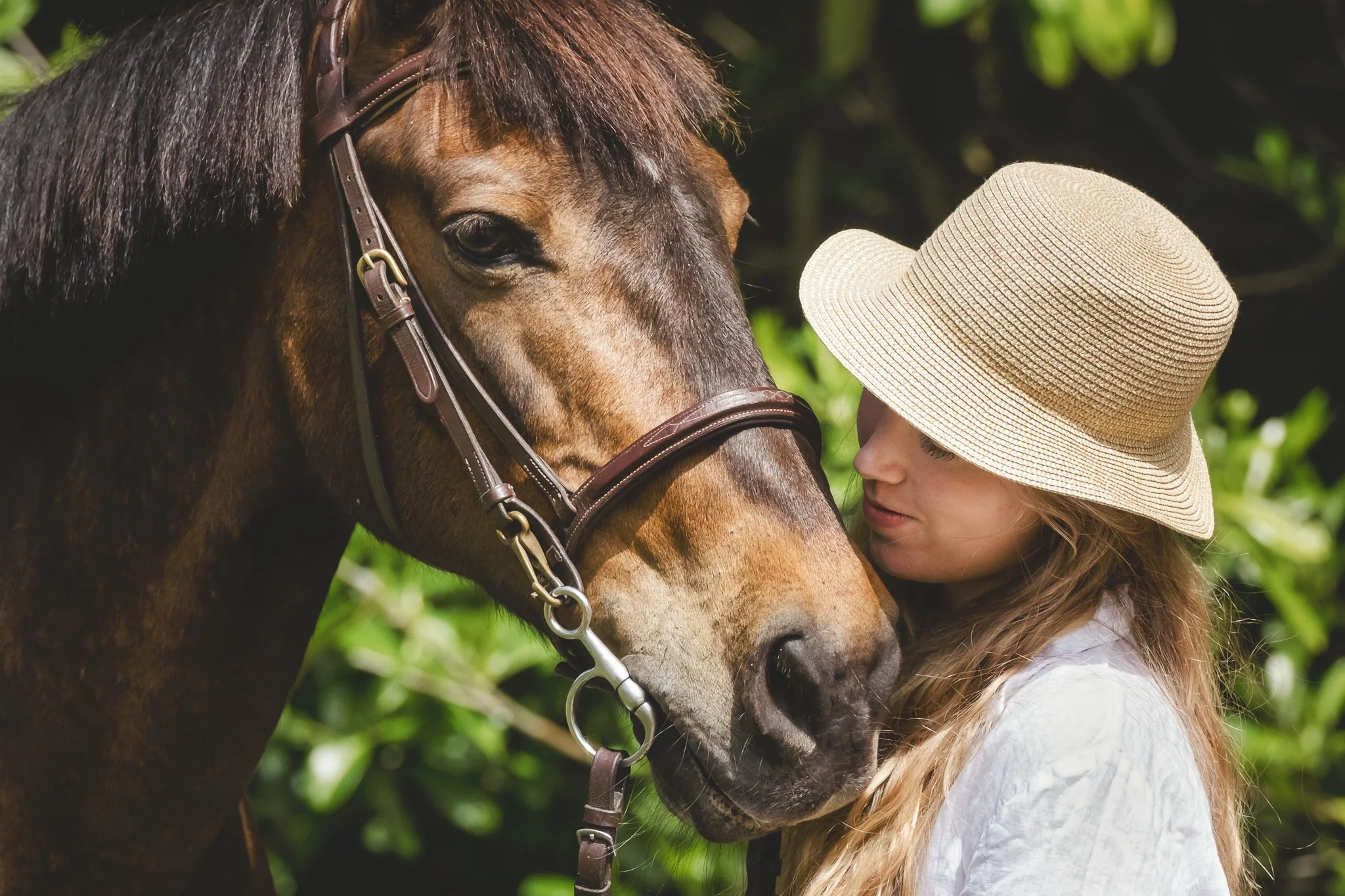 Countryside equine photoshoot in the New Forest