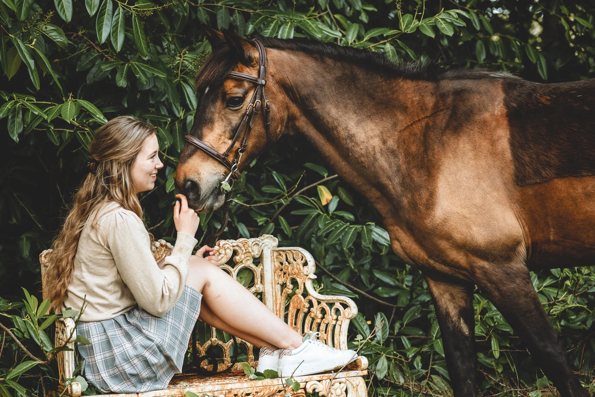 Relaxed horse and rider photography session