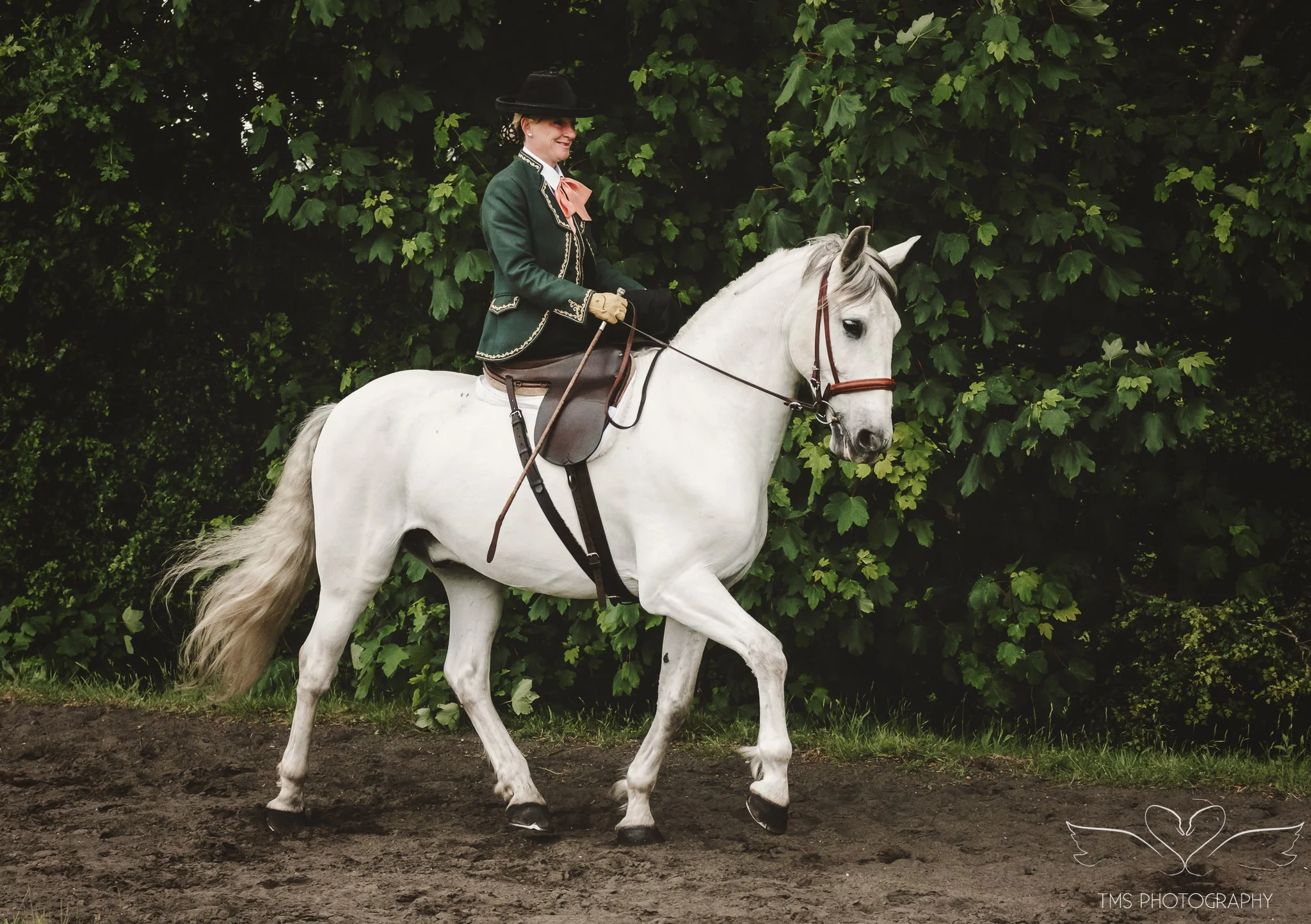 Side saddle photography