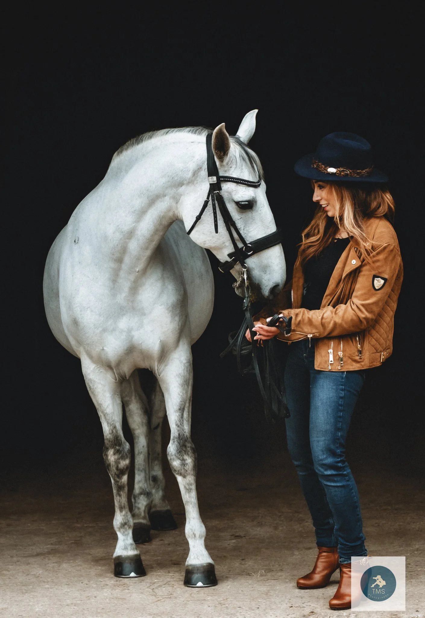 Full-length portrait of Ferrari, a Lusitano gelding, at Pickering Grange livery yard