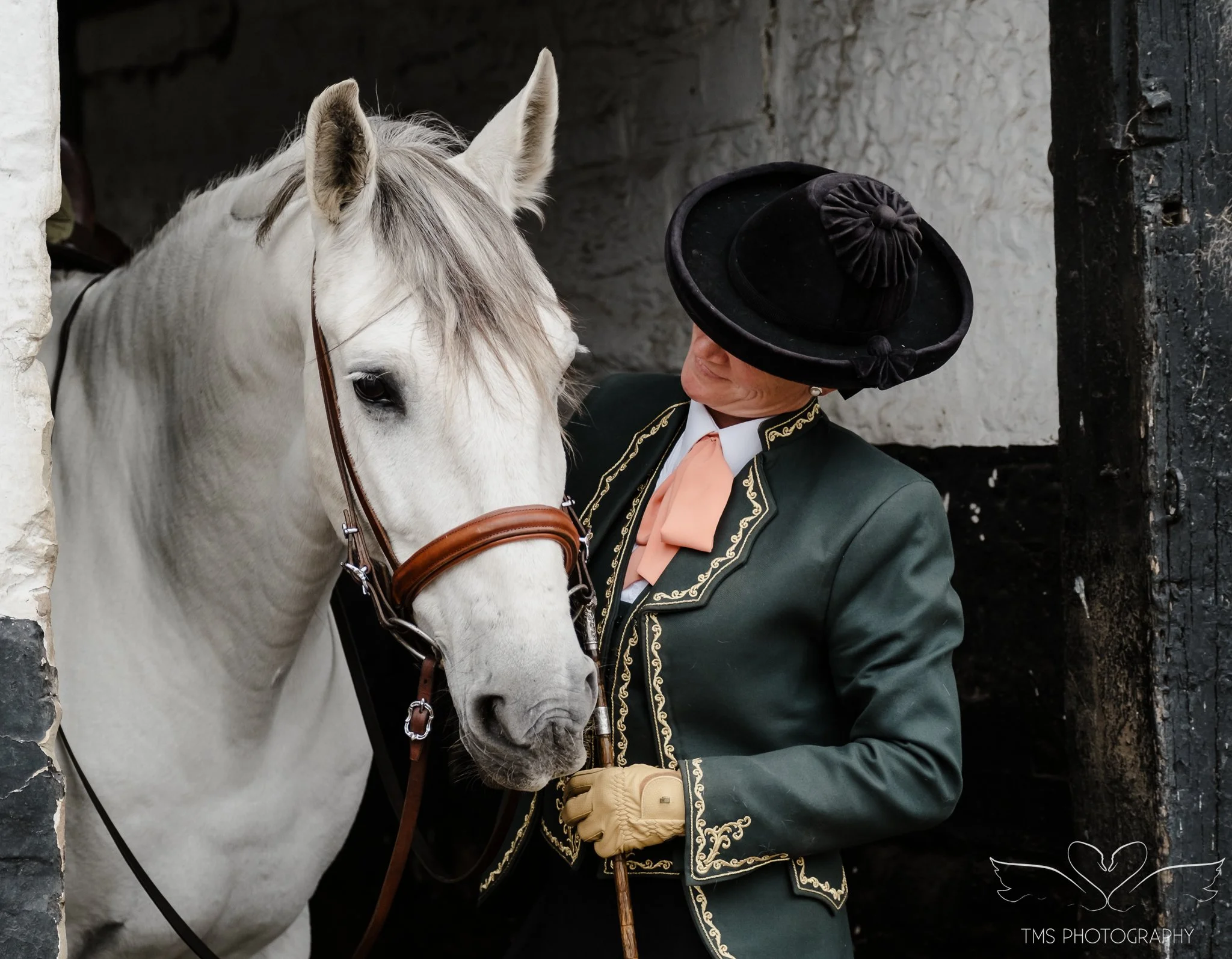Spanish PRE horse Querberin equine portrait in natural light